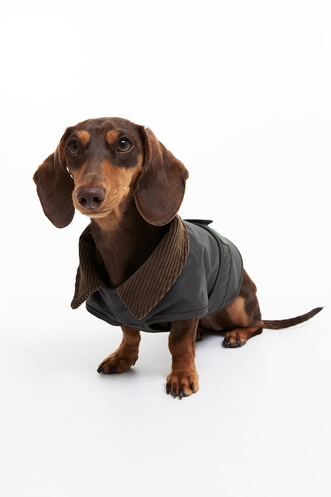 Pug Puppy Animal Underwear Knickers Thong Beautiful Gift Present Womens  Designer Dog Custom Print Panties 