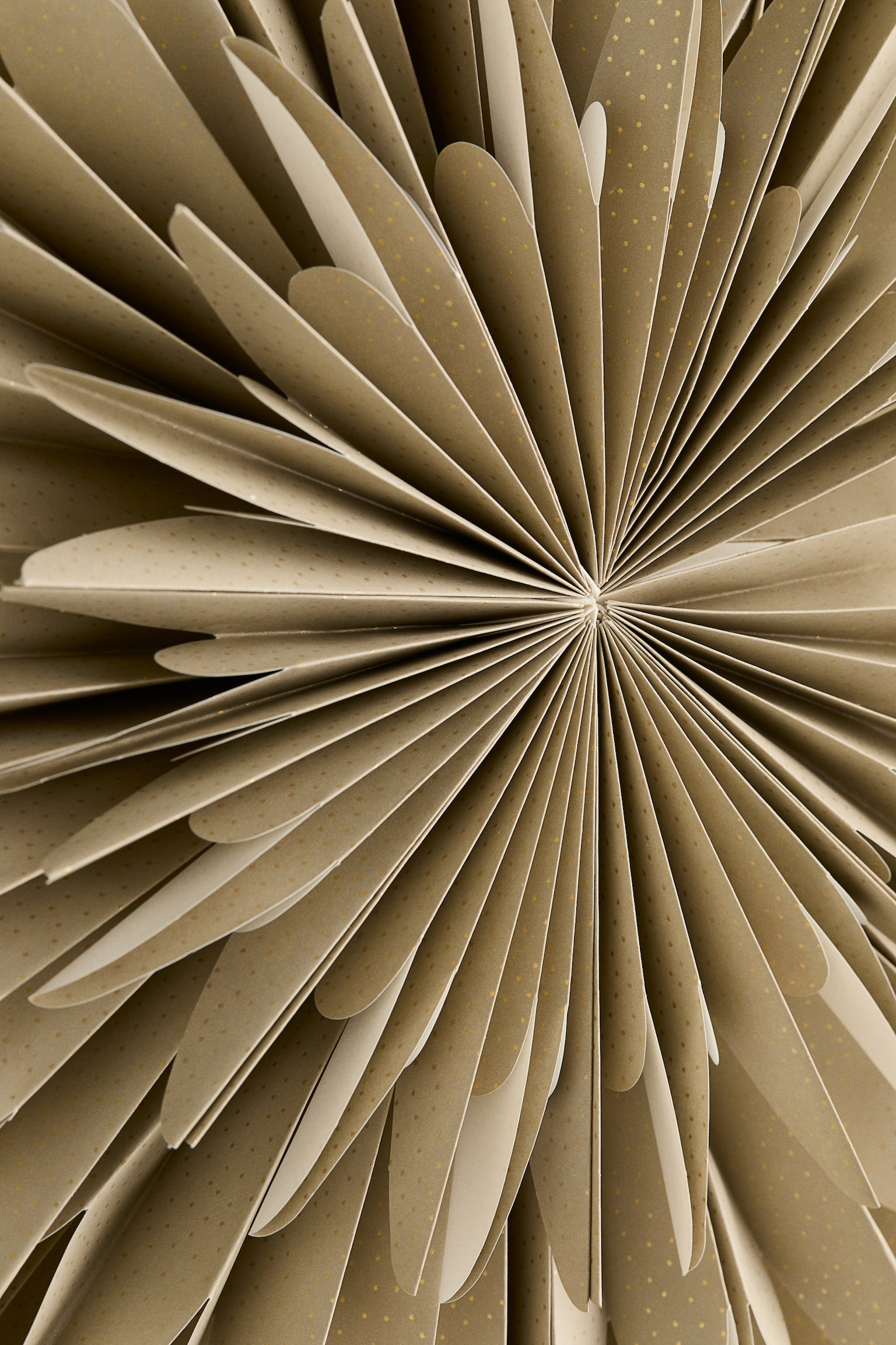 Leuchtstern aus Papier - Beige/Goldfarben gepunktet/Weiß/Gepunktet - 2