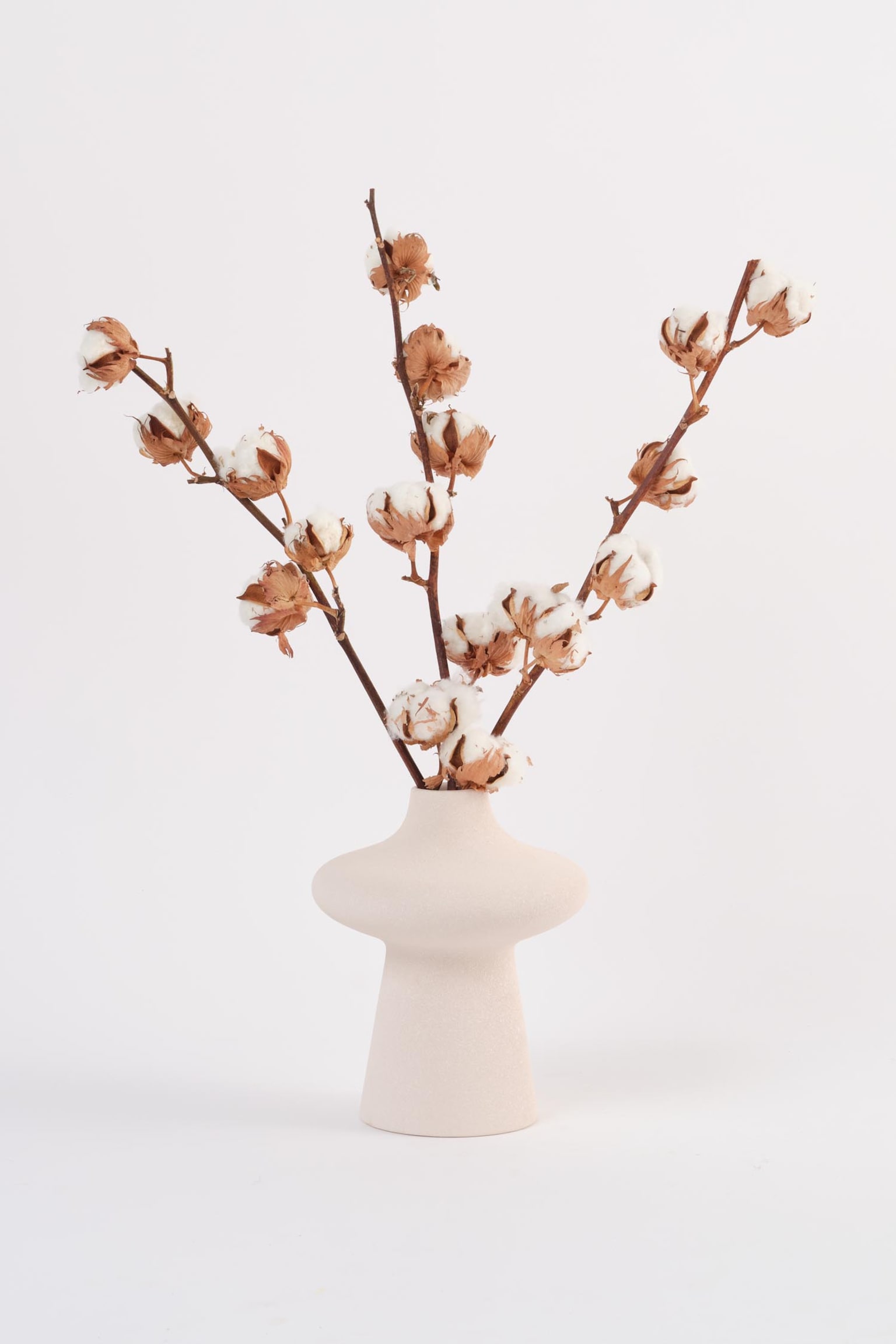 Cotton Branches - H55cm - 1