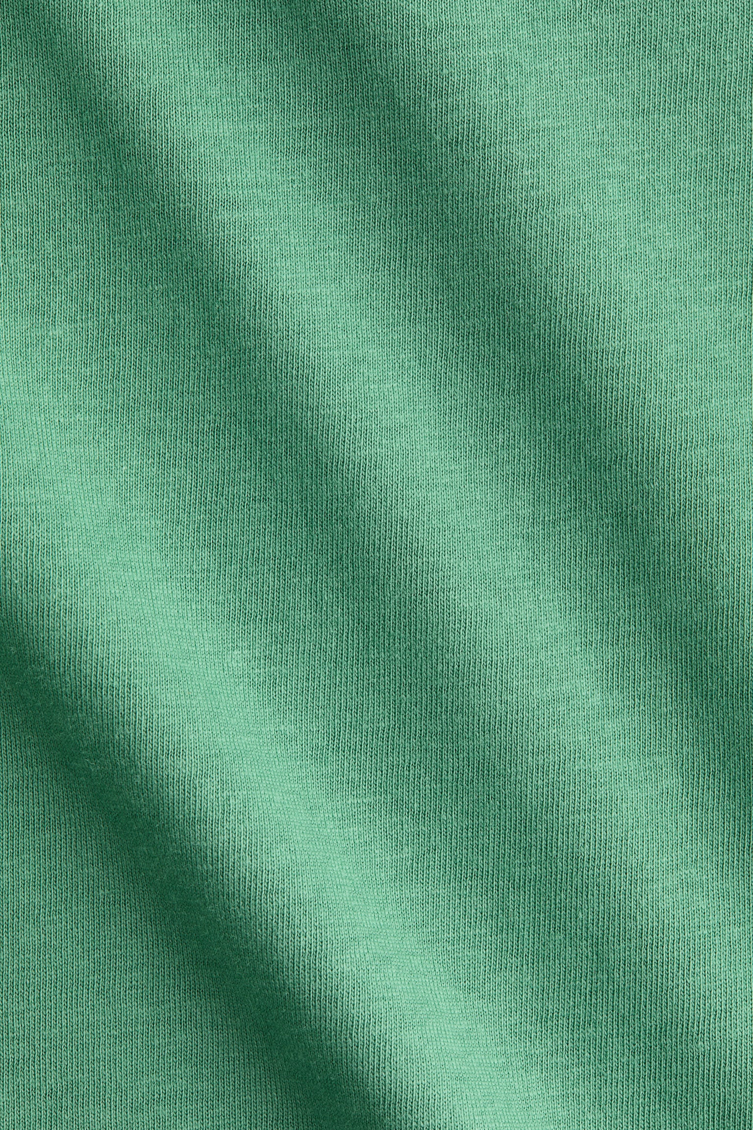 棉質平紋T恤 - 綠色/白色/紅色條紋/淺藍色 - 2