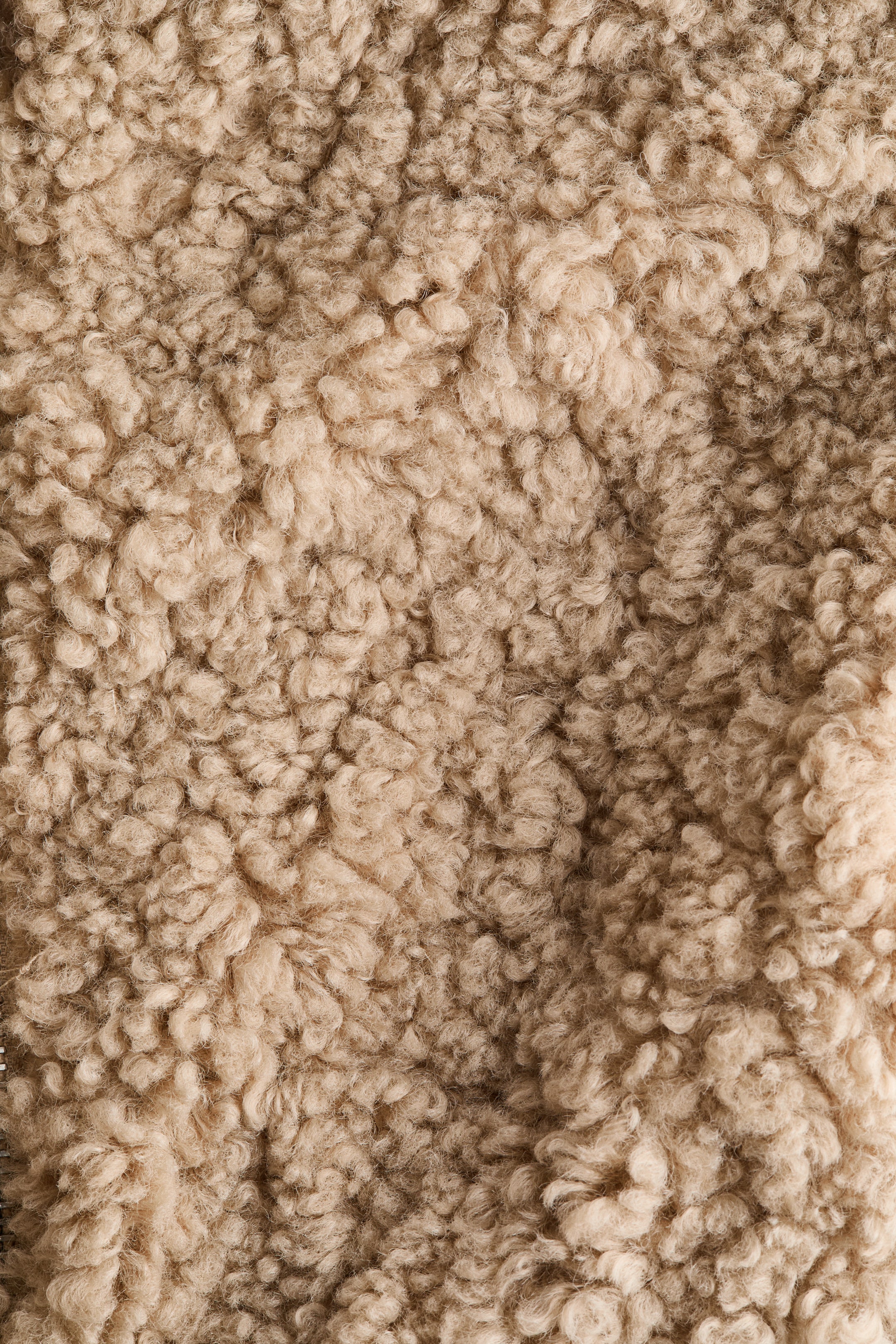 View larger image: Teddy jacket - Beige - Ladies | H&M IN 6