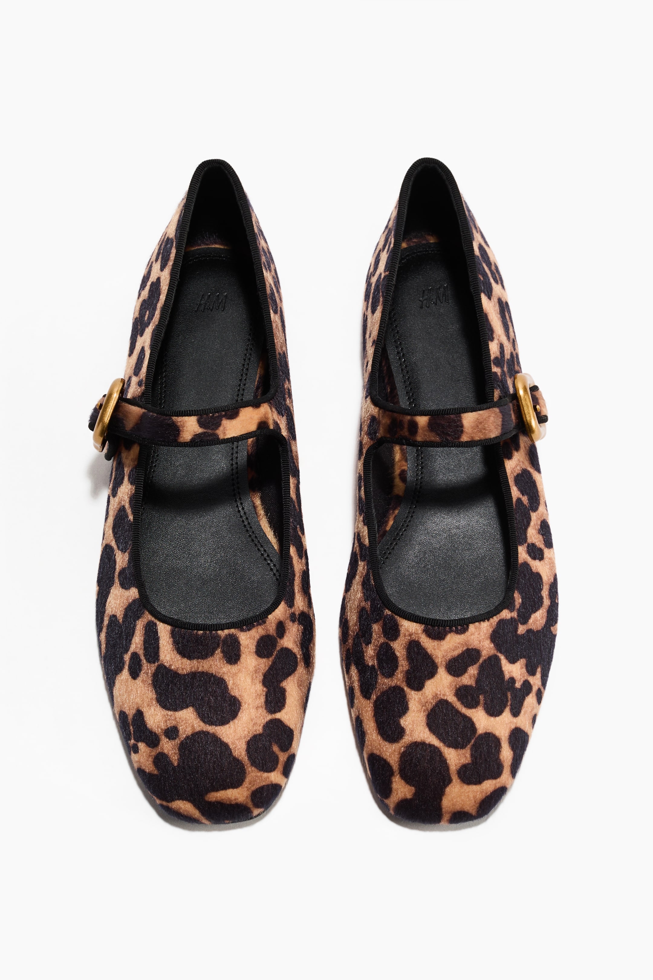 View larger image: Leopard print Mary Jane flats are facing FRONT, featuring a short-pile tan and black patterned upper. A black strap is extending across the instep of each shoe, fastening with a gold-toned rectangular buckle.
