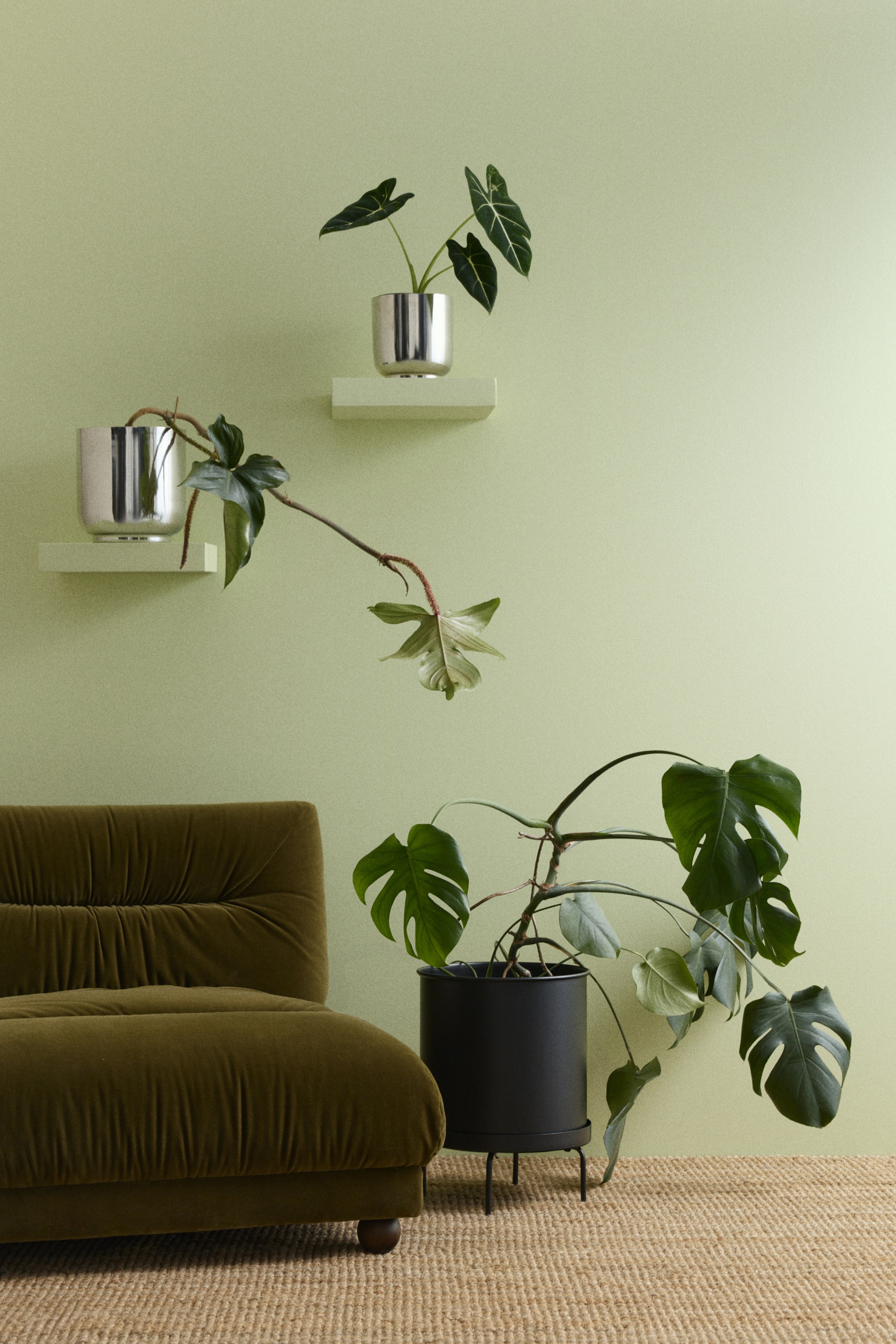 View larger image: An extra-large, black cylindrical metal plant pot is resting in a matching black metal plant stand. The stand features three legs and an integrated circular saucer, with the pot and stand presented from a front angle.