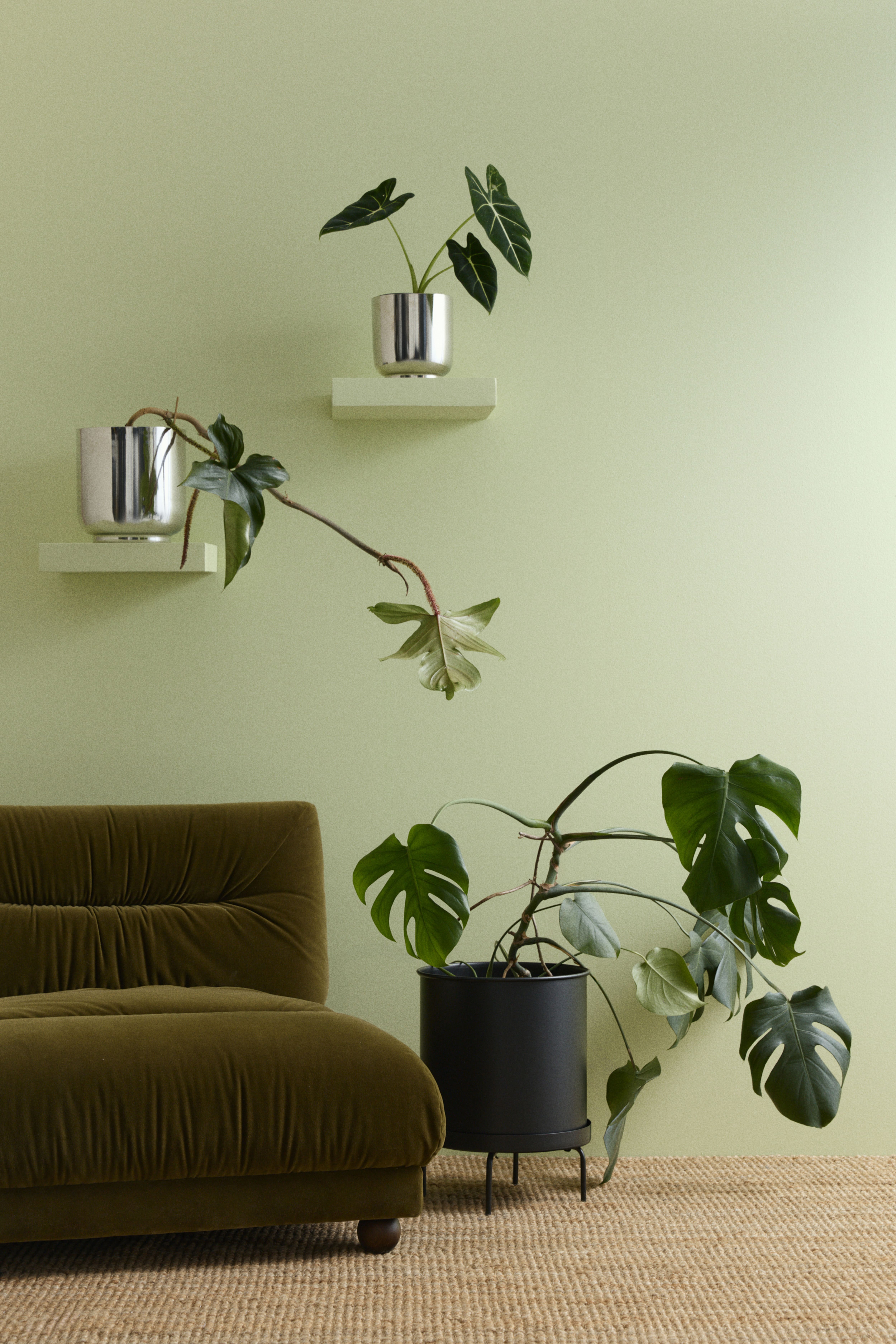 Extra-Large Plant Pot with Stand