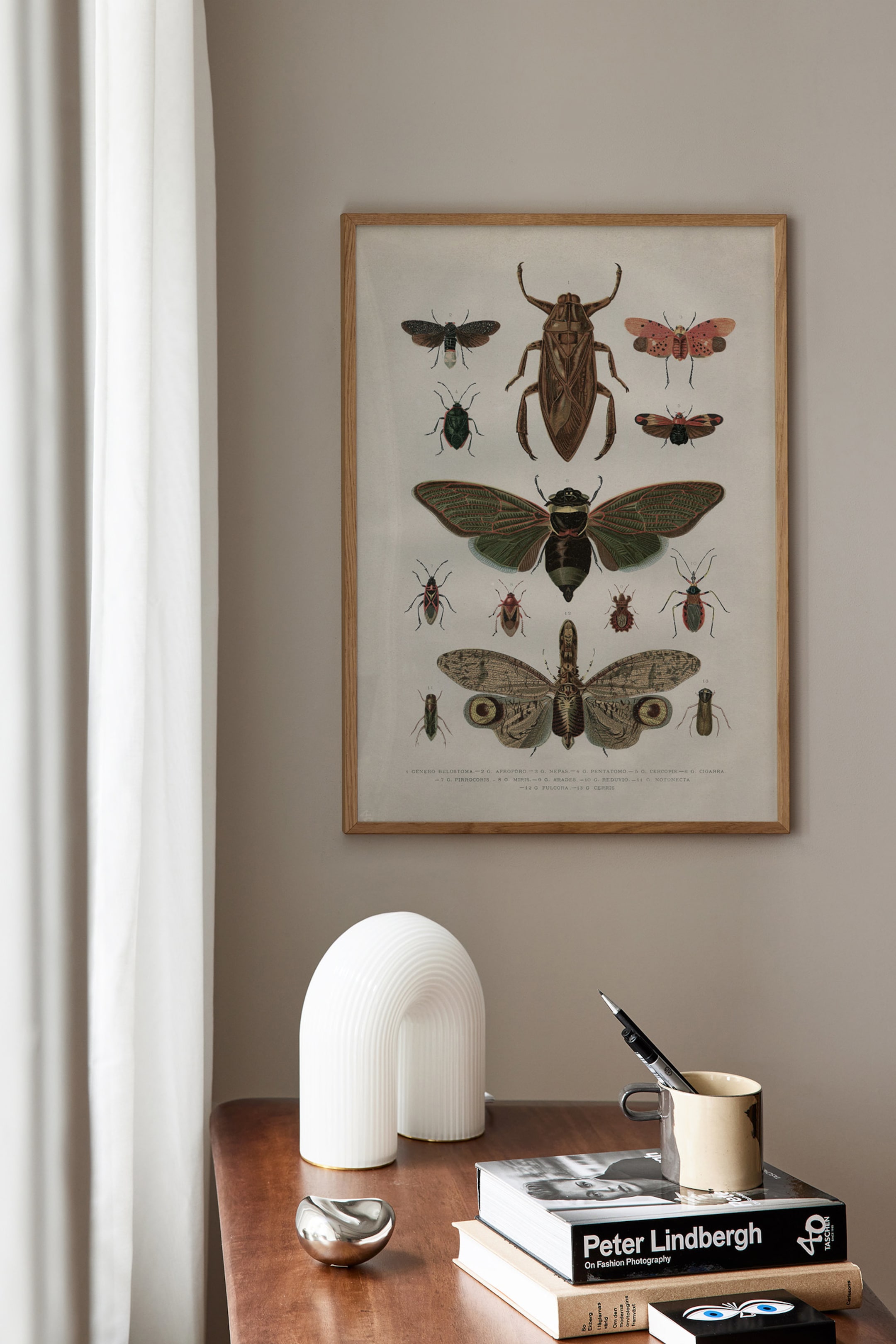 Zobacz większy obraz: Vintage Insects Plakat - Brązowy - Postery - HOME | H&M PL 1