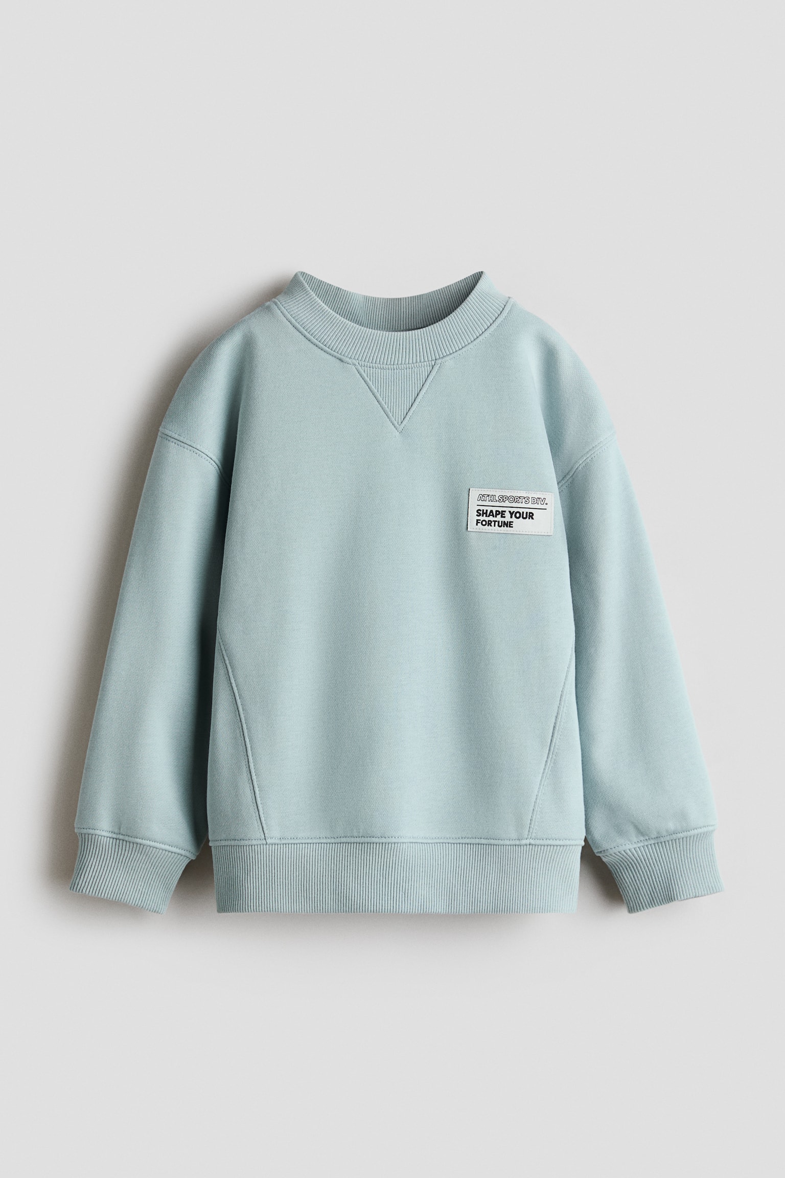 Sweatshirt em algodão - Turquesa pó/Verde - 1