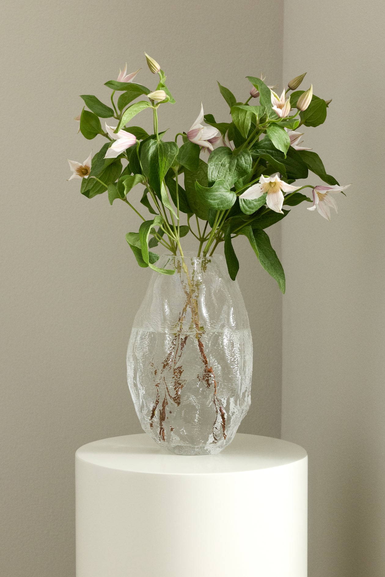 Strukturmønstret vase i glas Transparent Home All H&M DK — free download