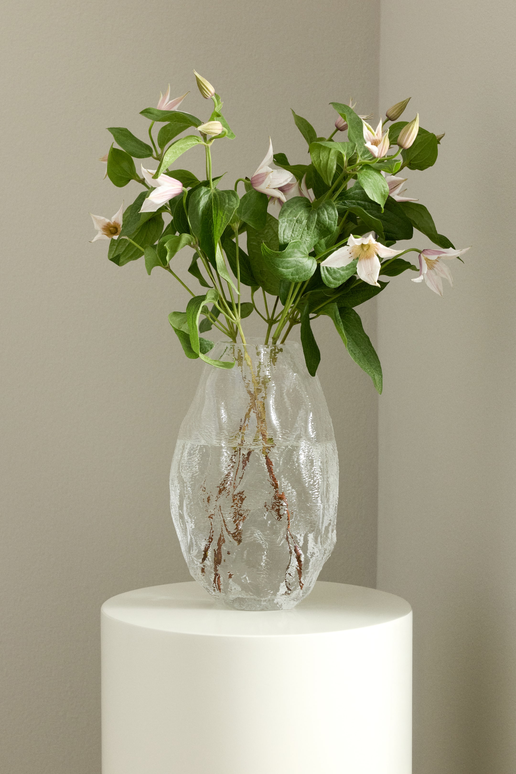 Grotere afbeelding bekijken: De vaas is gemaakt van helder, gestructureerd glas en toont van voren een asymmetrisch, sculpturaal ontwerp. Hij houdt water en meerdere plantstengels.