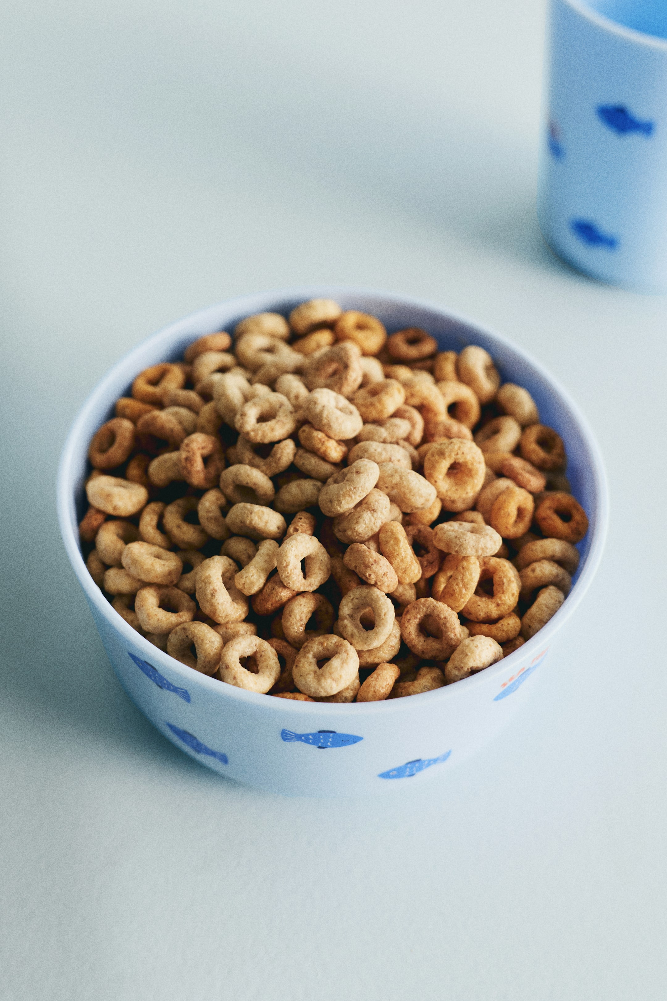 Visualizza immagine più grande: Una ciotola azzurra, decorata con piccoli pesci blu, contiene numerosi pezzi di cereali a forma di anello che mostrano varie tonalità di marrone chiaro e marrone dorato. I pezzi di cereali appaiono leggermente texturizzati e la ciotola è posizionata ad un angolo leggermente elevato e frontale.