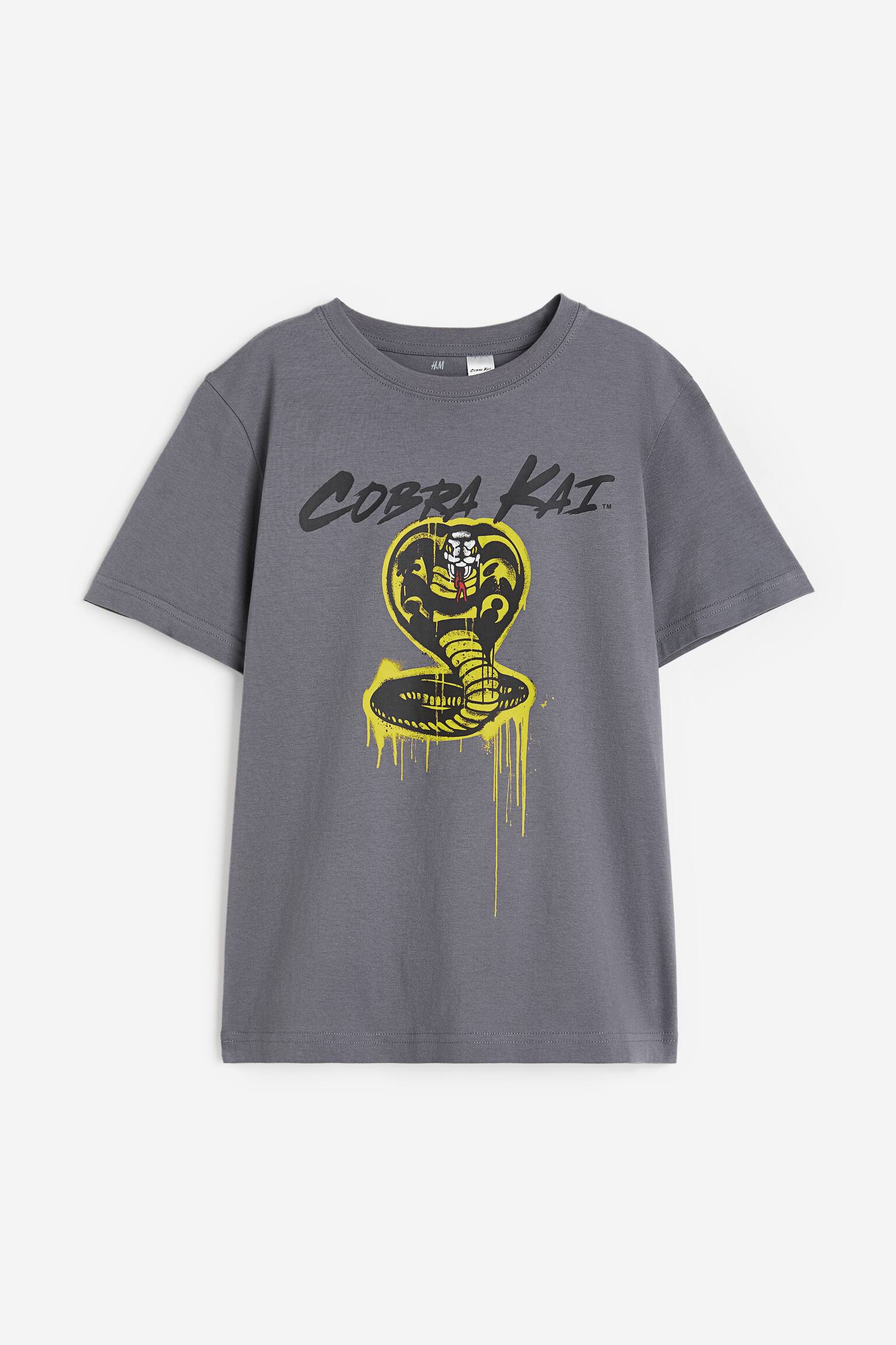 Printed T-shirt - Grey/Cobra Kai/Blue/Garfield/White/The Simpsons - 1