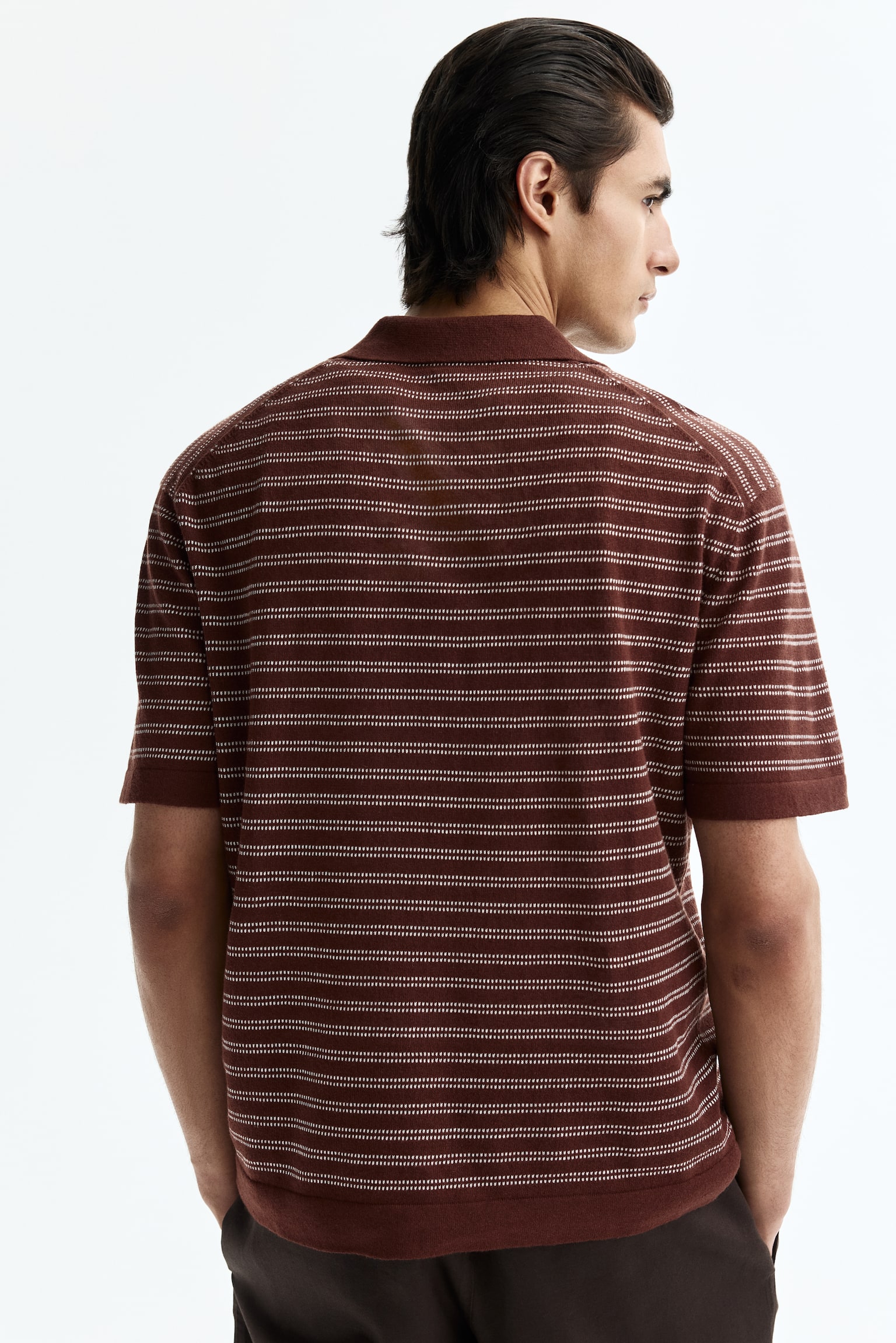 Regular Fit Linen-blend polo shirt-Brown/Striped - 5