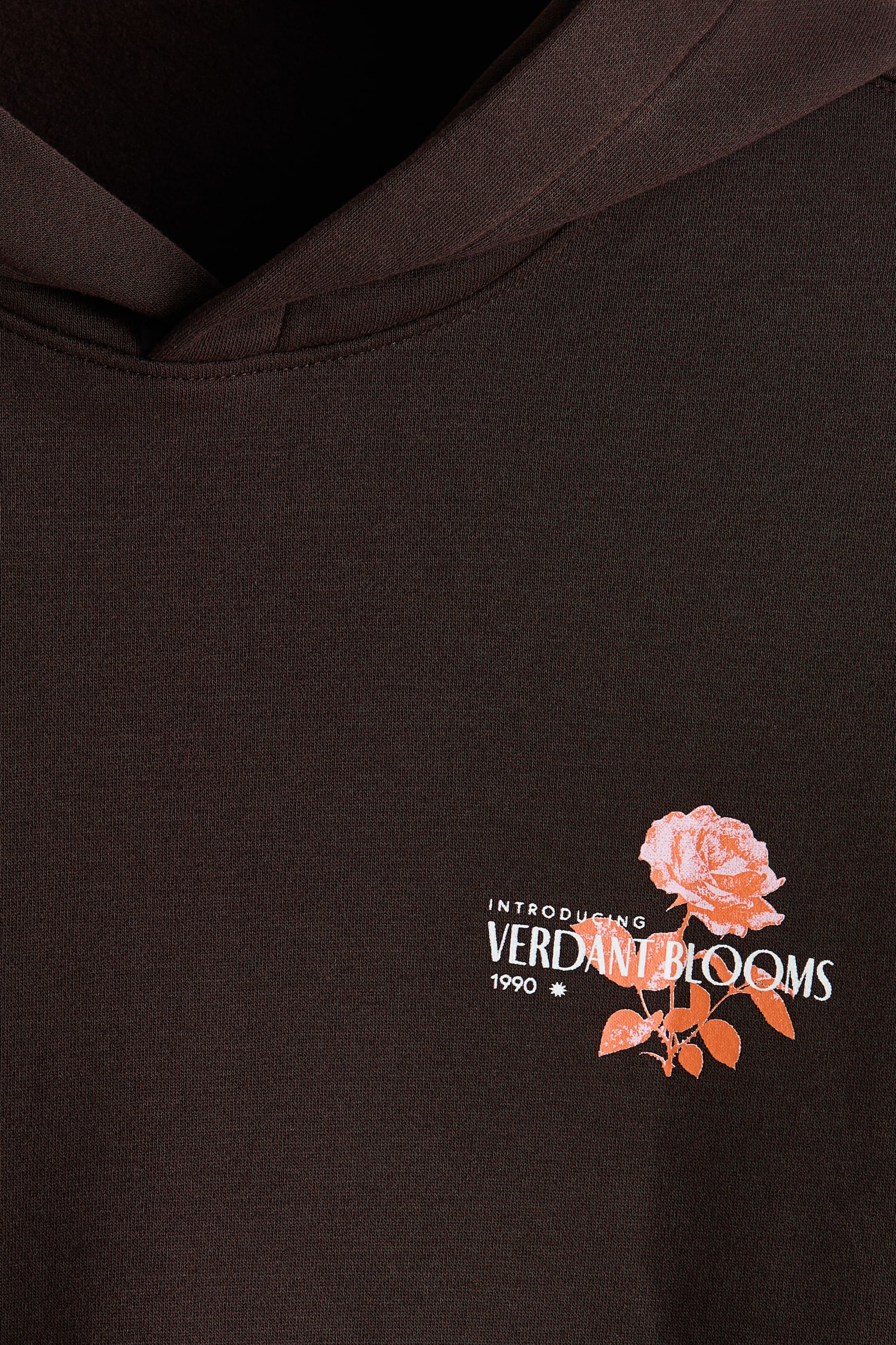 Relaxed Fit Printed hoodie - Dark brown/Verdant Blooms/Black/Appetites/White/STM/Black/Northern Rockies/White/Endless Horizons - 5