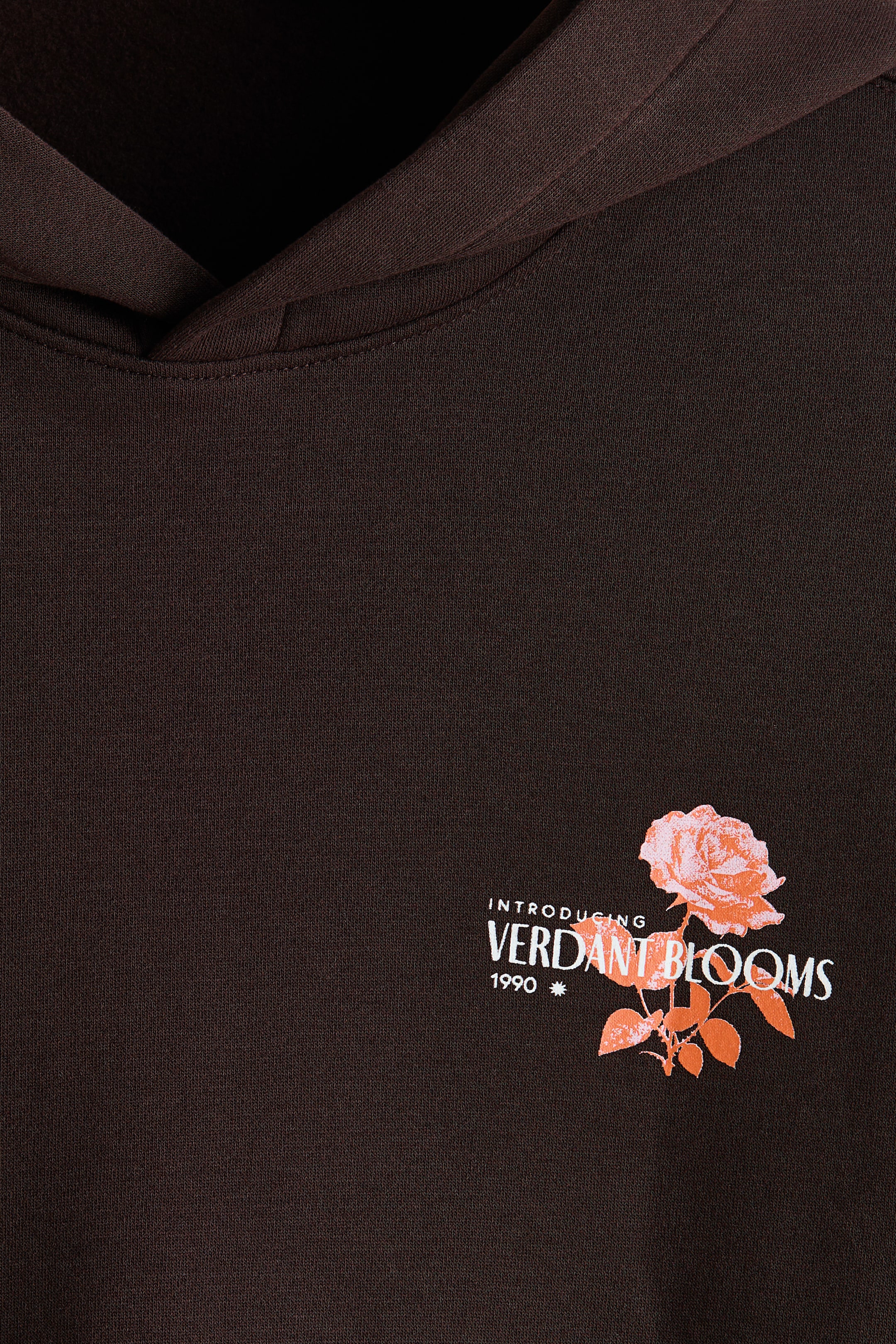 View larger image: Relaxed Fit Printed hoodie - Dark brown/Verdant Blooms - Men | H&M IN 3