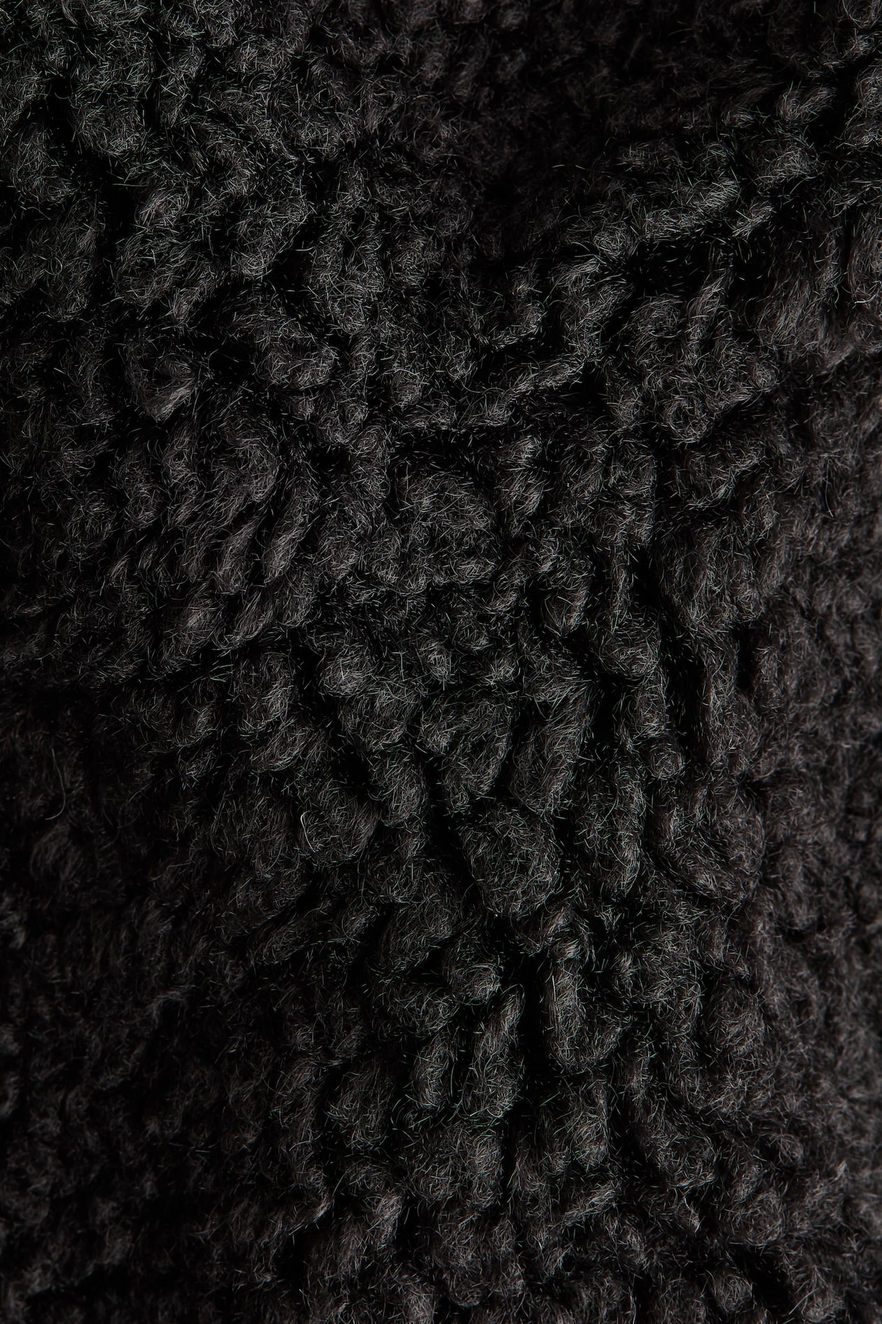 Teddy Fleece Jacket with Collar - image 3