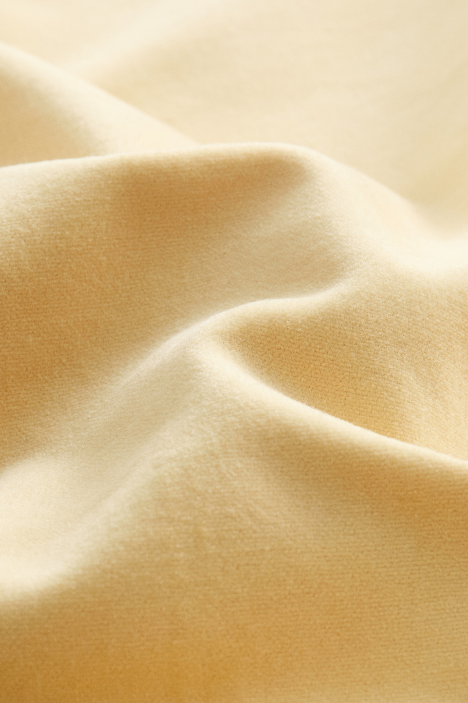 Cotton Velvet Cushion Cover - Light yellow/Dark brown/Brown/Light dusty blue/Light green/Light taupe/Dark yellow/Light gray/Dusty pink/Khaki green/Camel/Light beige/Light dusty pink/Dark beige - 3