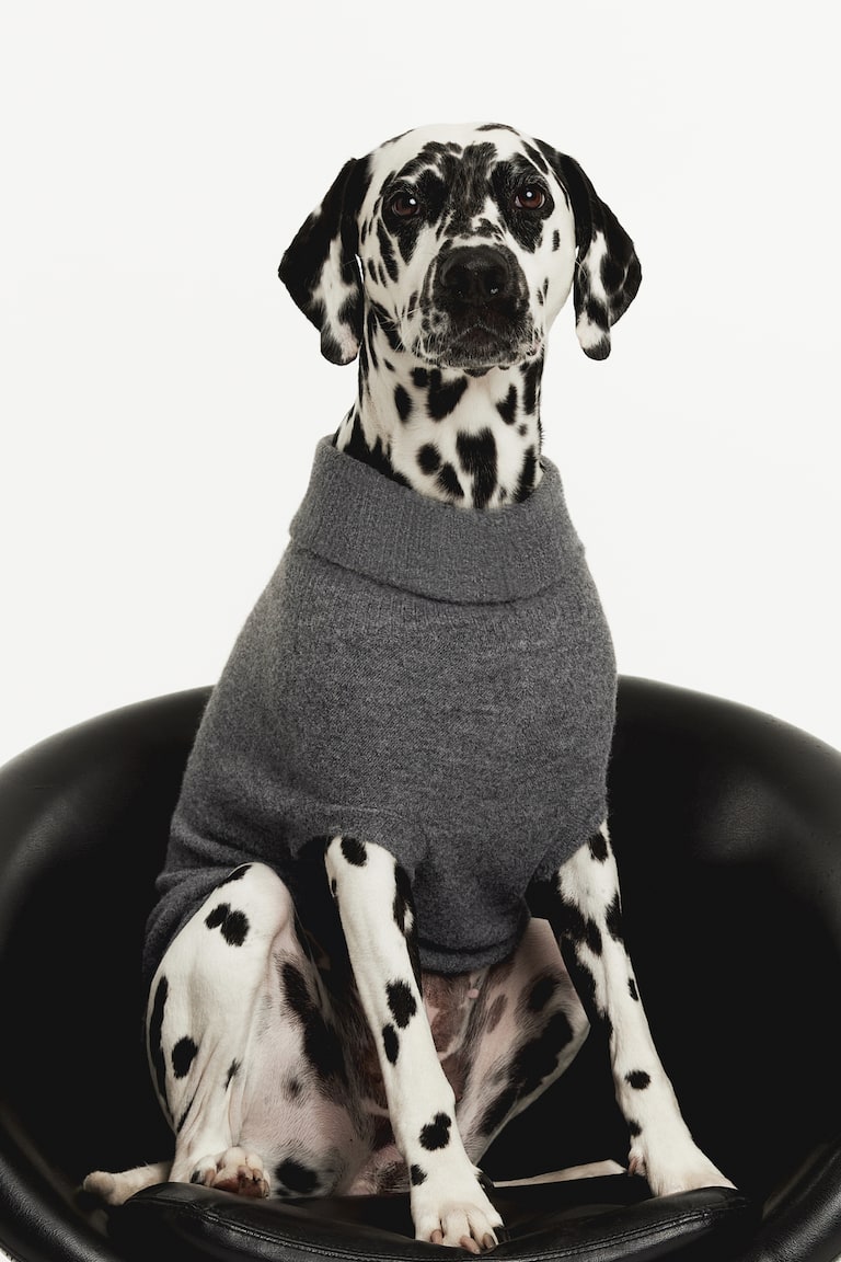 Fine-knit dog jumper - Grey marl