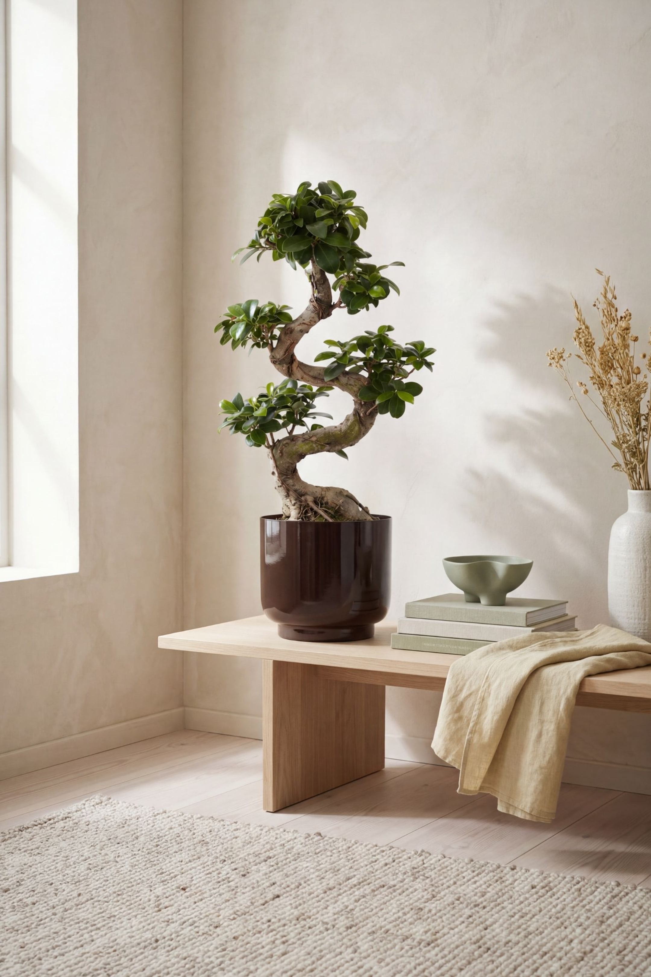 Größeres Bild ansehen: Japanischer Bonsai - H 60cm - Bloomique - Home All | H&M DE 1