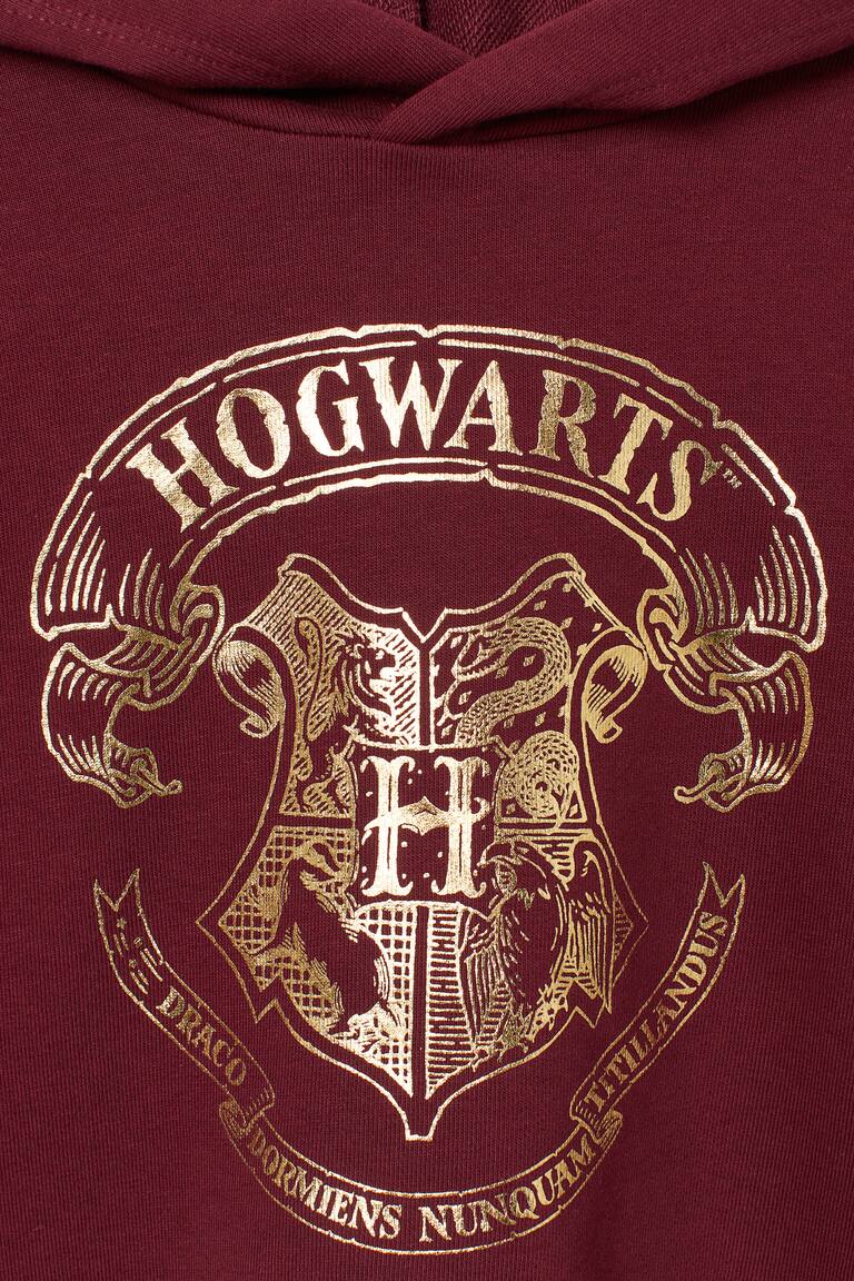Crest Gummistiefel Harry Potter Gummistiefel Hoodie Mit Druck