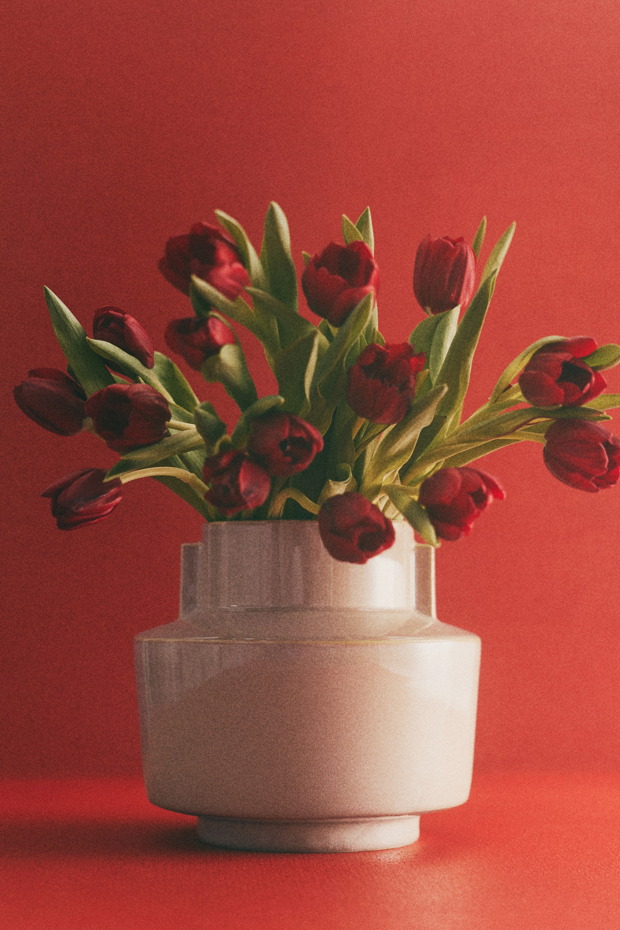 View larger image: A light-coloured ceramic vase with a tiered design and horizontal ridges holds a bouquet of red tulips. Green stems are clearly visible, supporting the red blooms as they emerge from the vase's opening.