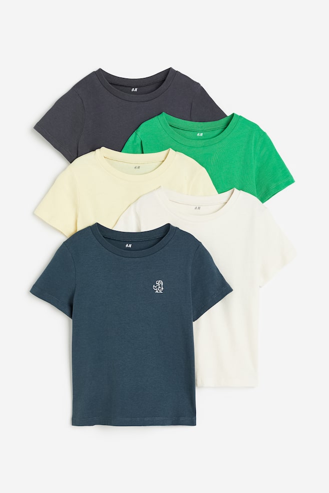 5-pack T-shirt i bomull - Sort/Grønn/Lys beige/Marineblå/Gråmelert - 1