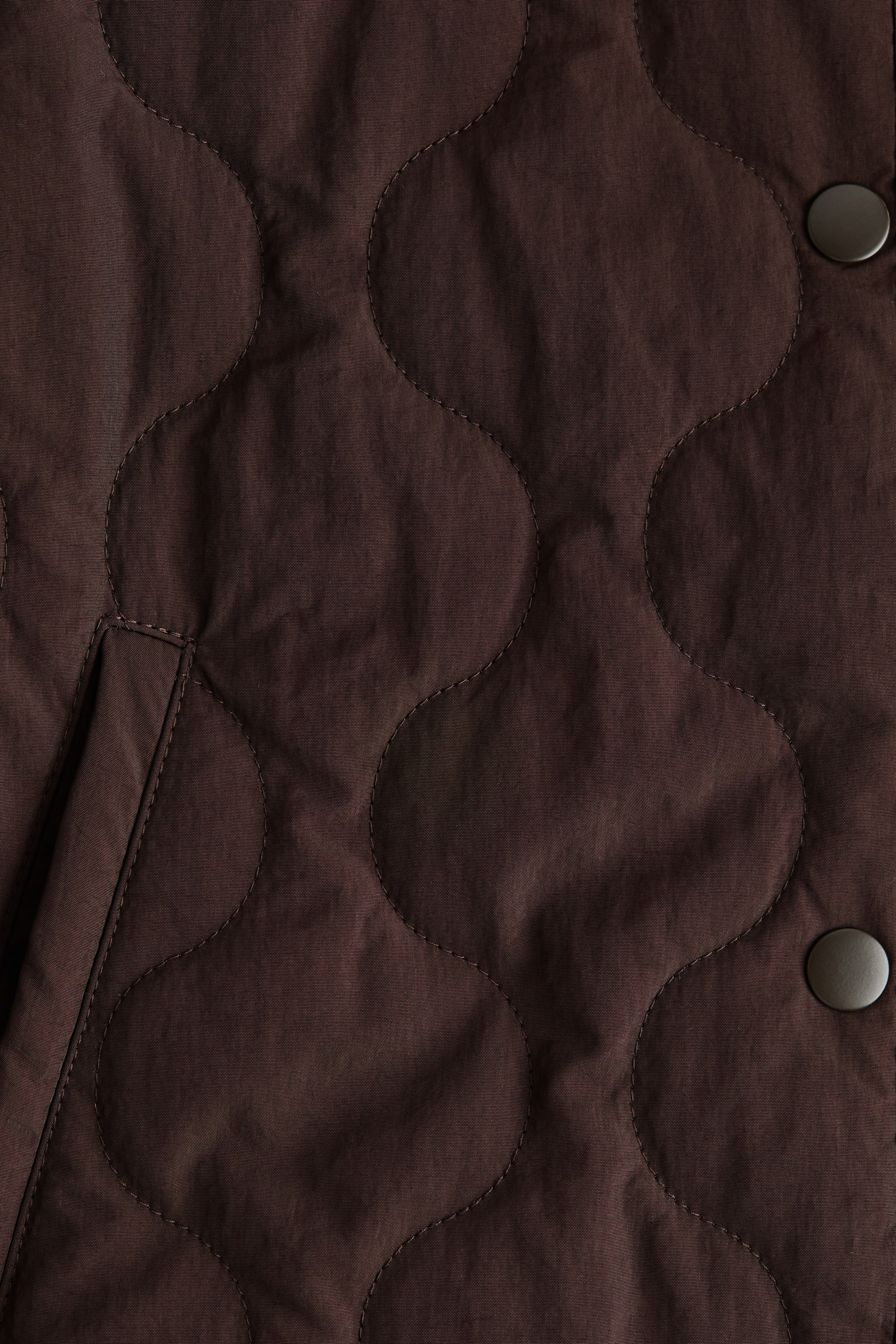 View larger image: Quilted nylon jacket - Dark brown - Ladies | H&M IN 2