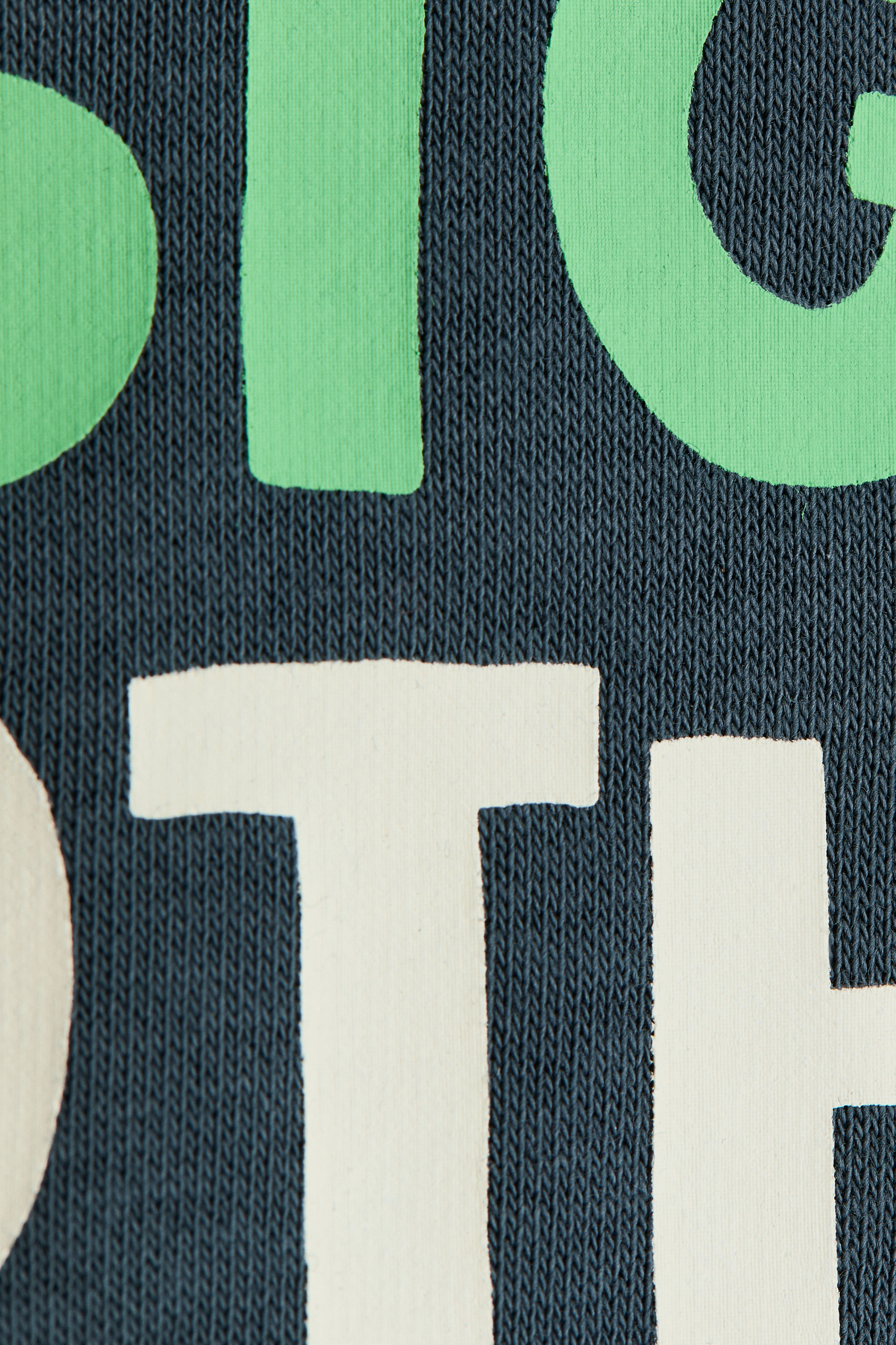 Brushed-Inside Sweatshirt with Printed Motif
