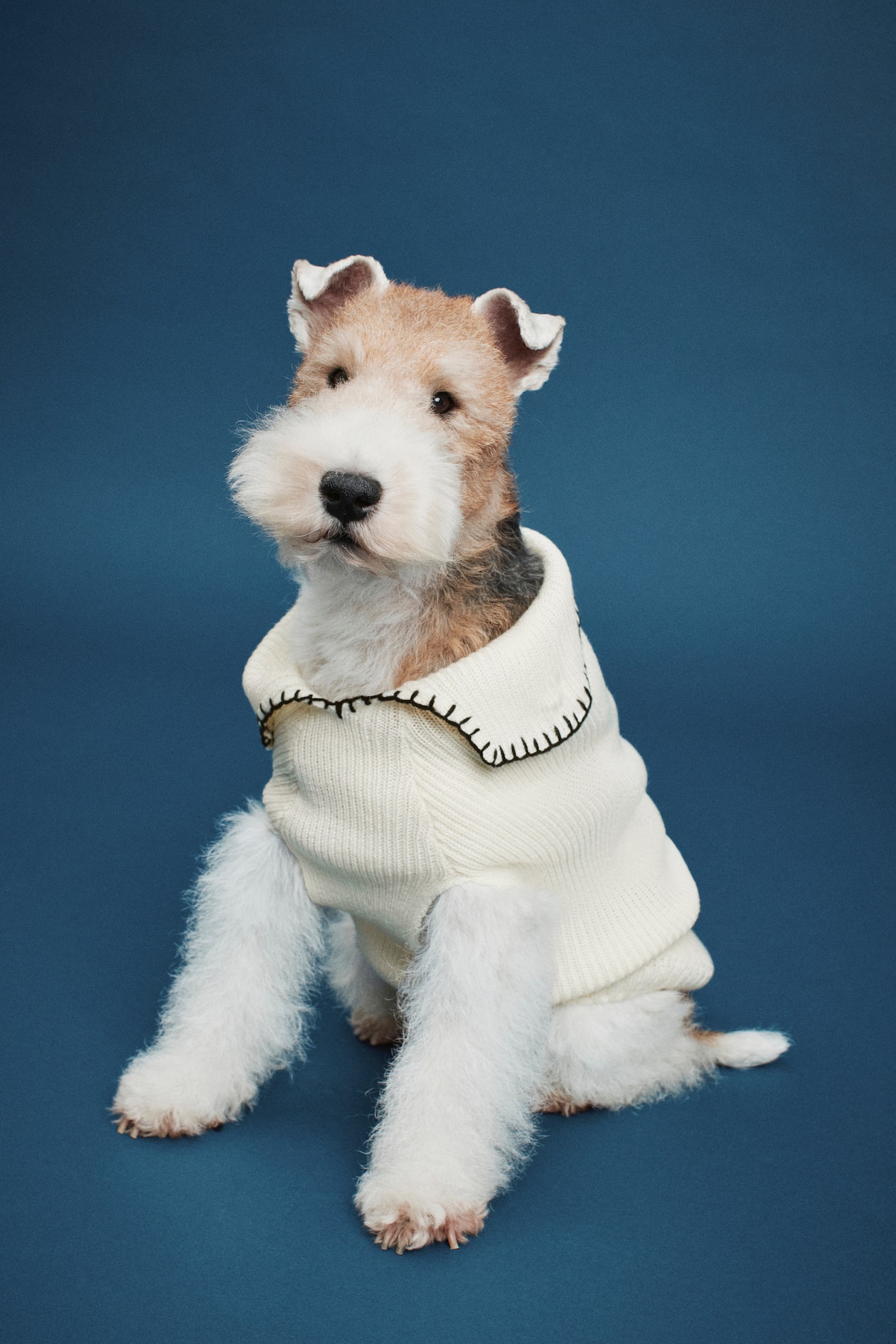 Jersey para perro en punto de canalé Crema HOMBRE H&M ES