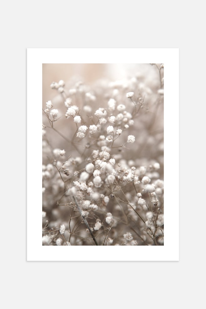 Baby's Breath Poster - Beige/white - 1
