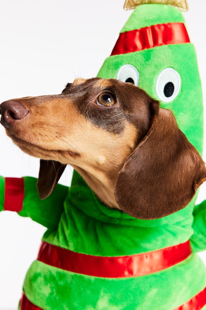 Udklædningsdragt til hund juletræ - Grøn - 3