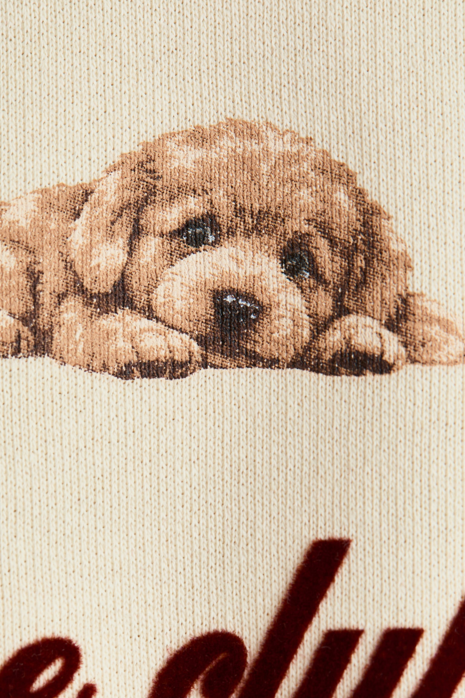 Детская толстовка H&M Motif-Detail Brushed-Inside, цвет: Кремовый — фото 2