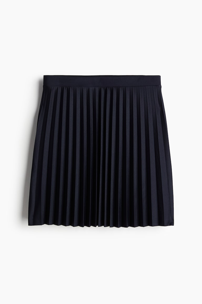 Navy Blue Skater Skirt H&m Skater Skirt Dark Blue/White