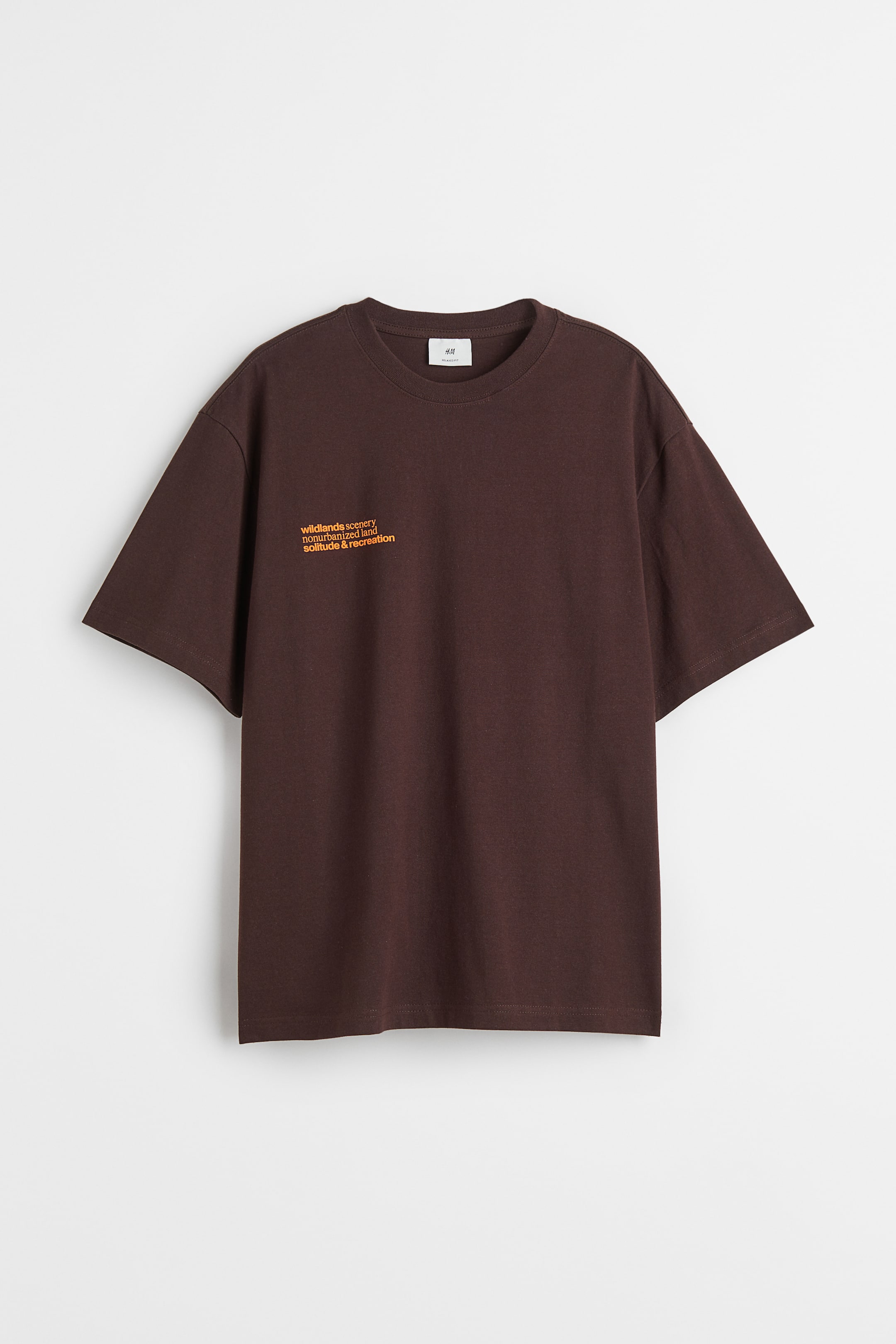 View larger image: Relaxed Fit Printed T-shirt - Dark brown/Mountains - Men | H&M 1