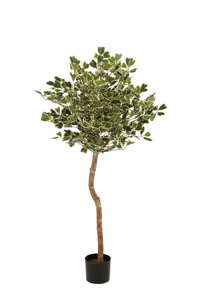 Ficus Plante Artificielle - Vert - 1