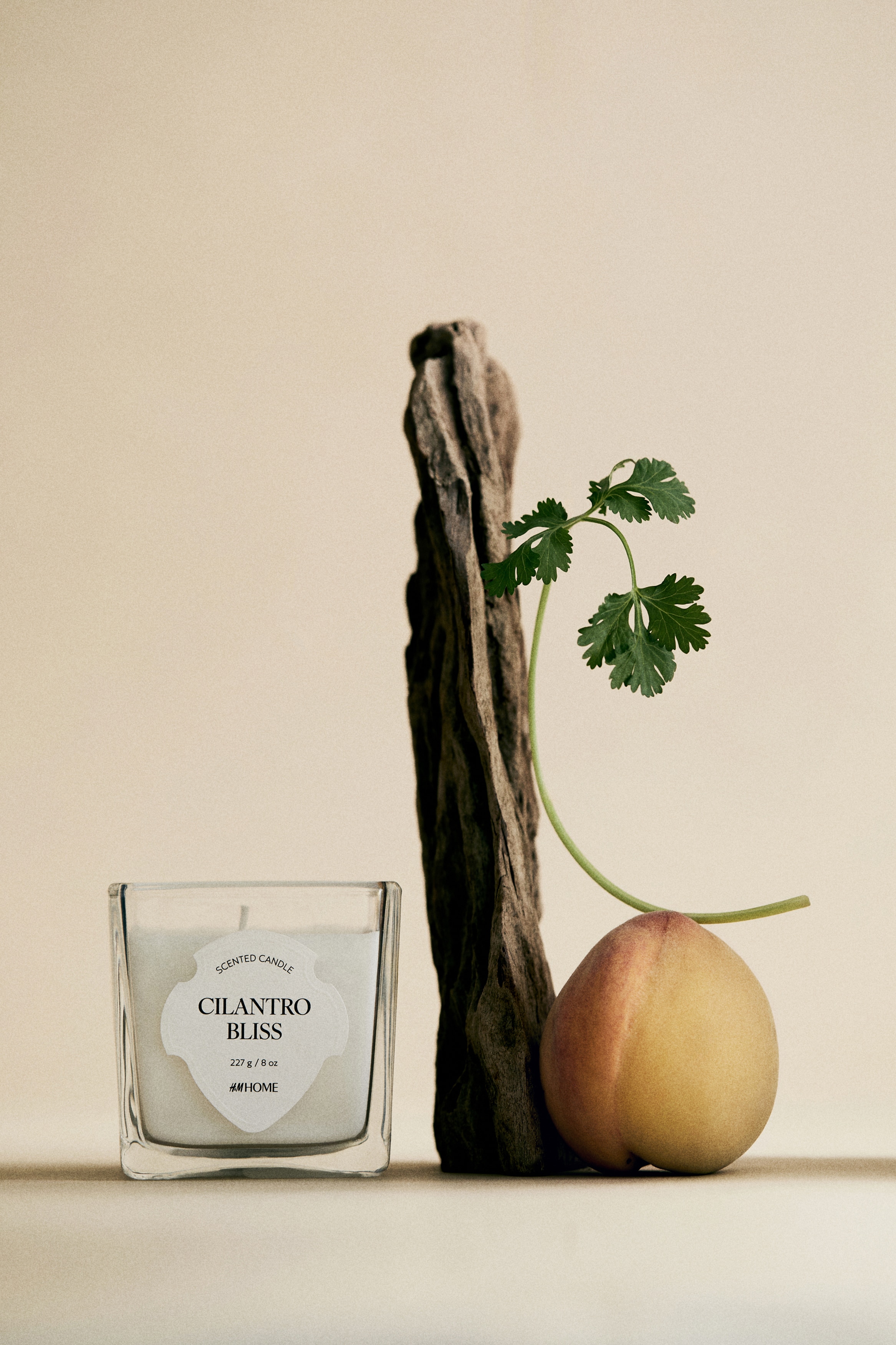 Bougie parfumée dans un pot en verre - Cilantro Bliss/Winter Spices/Yuzu Blossom/Oud Mémoire/Untamed Rose