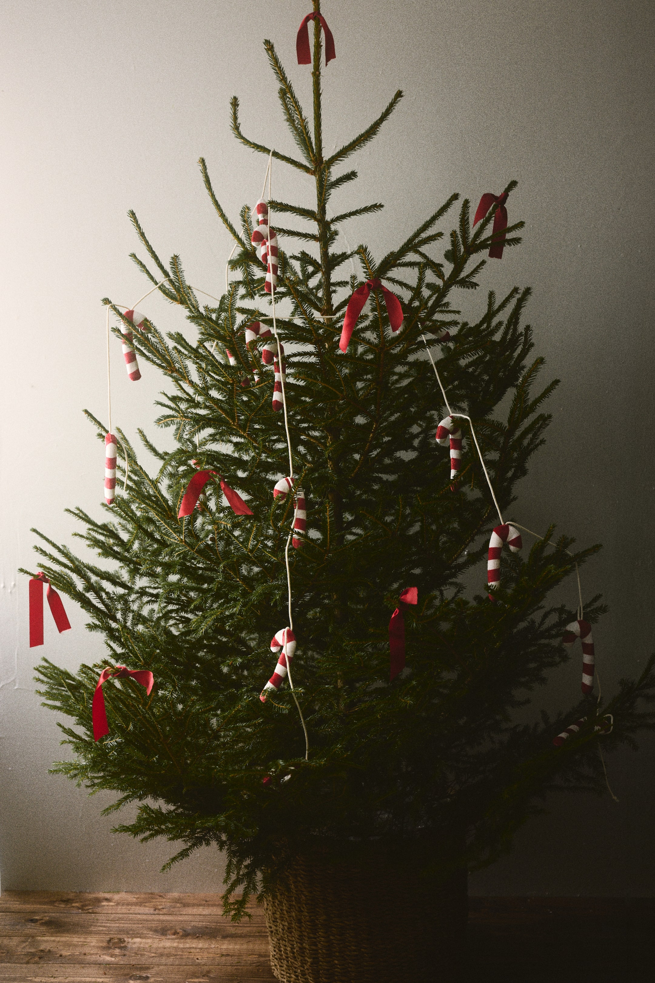View larger image: A garland featuring padded, red-and-white striped fabric candy canes is draped across the front of a green pine tree. The candy cane decorations hang at intervals from a thin white string woven through the branches.