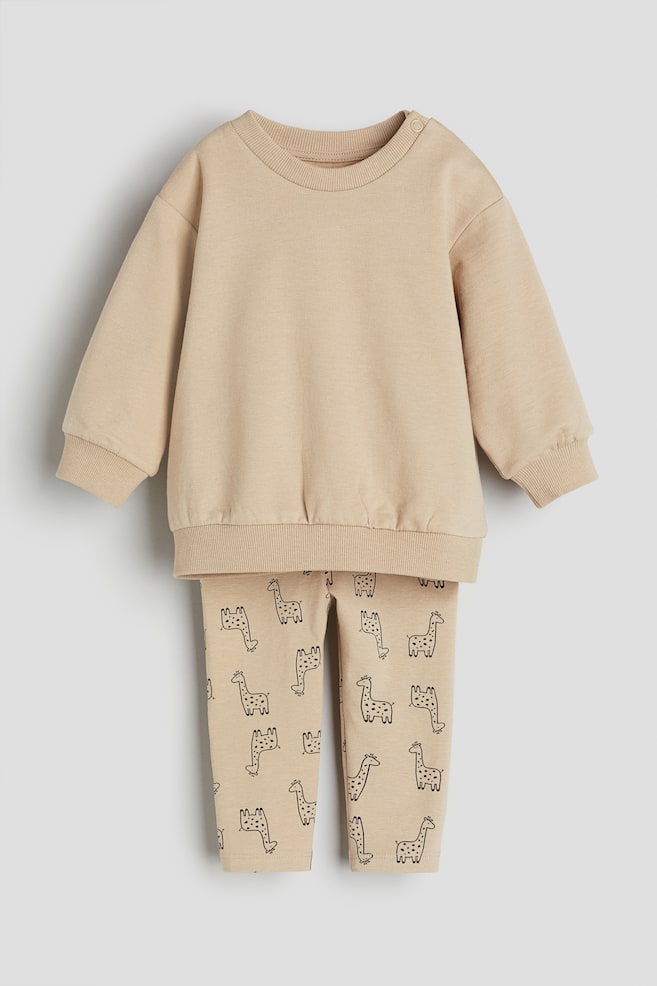 2-piece sweatshirt and leggings set - Beige/Giraffes/Light pink/Small flowers/Dusty green/Turtles/Pink/Floral/dc/dc - 1