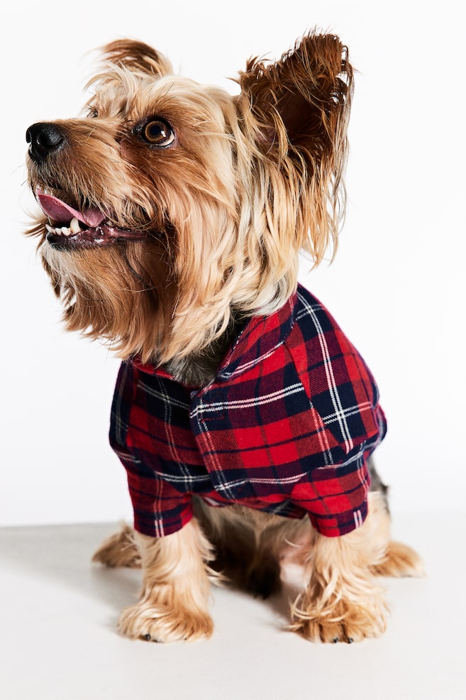 Dog shirt - Red/Checked/White/Hearts - 5