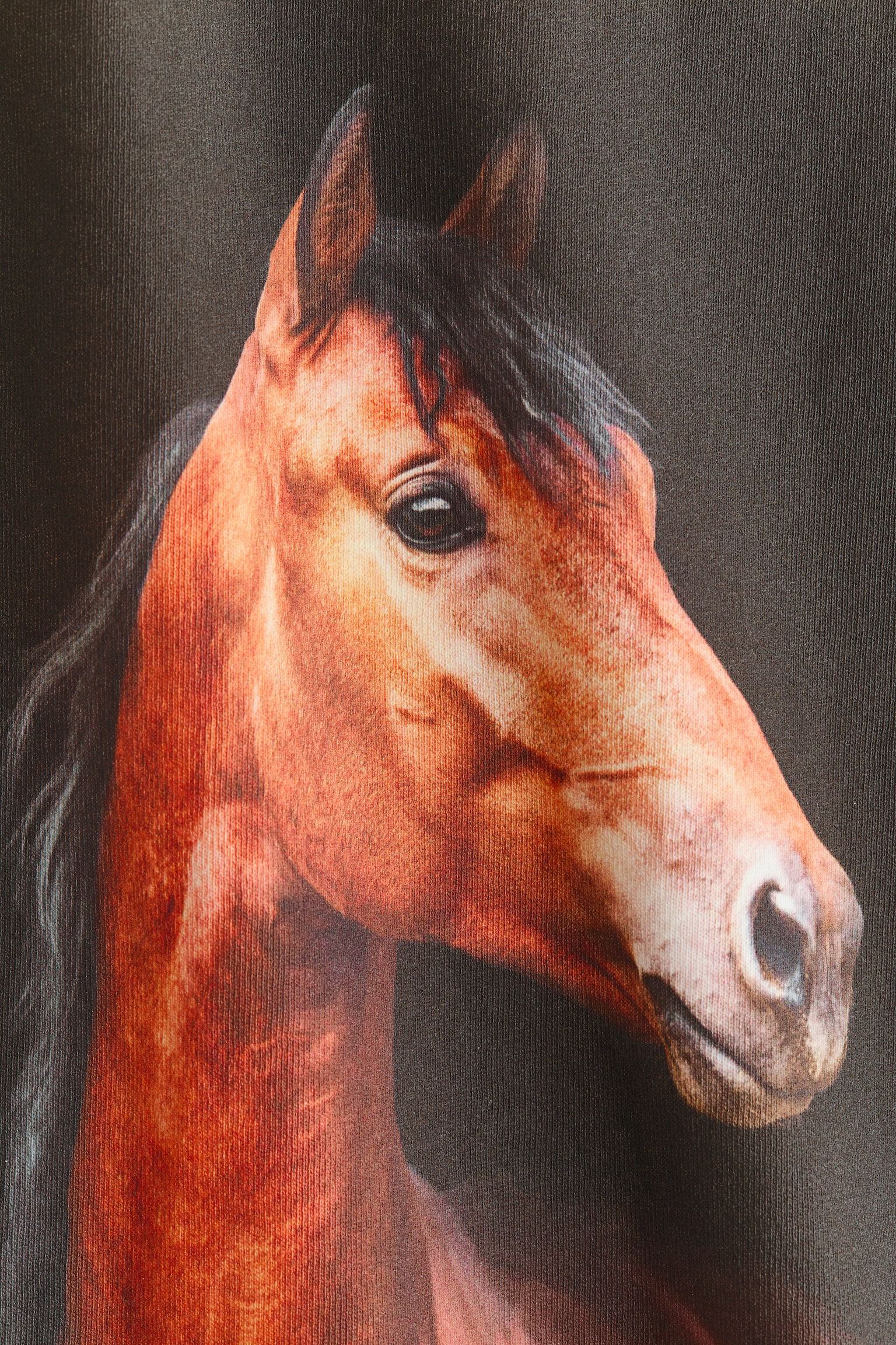 Oversized cotton T-shirt - Cream/Horse - 3