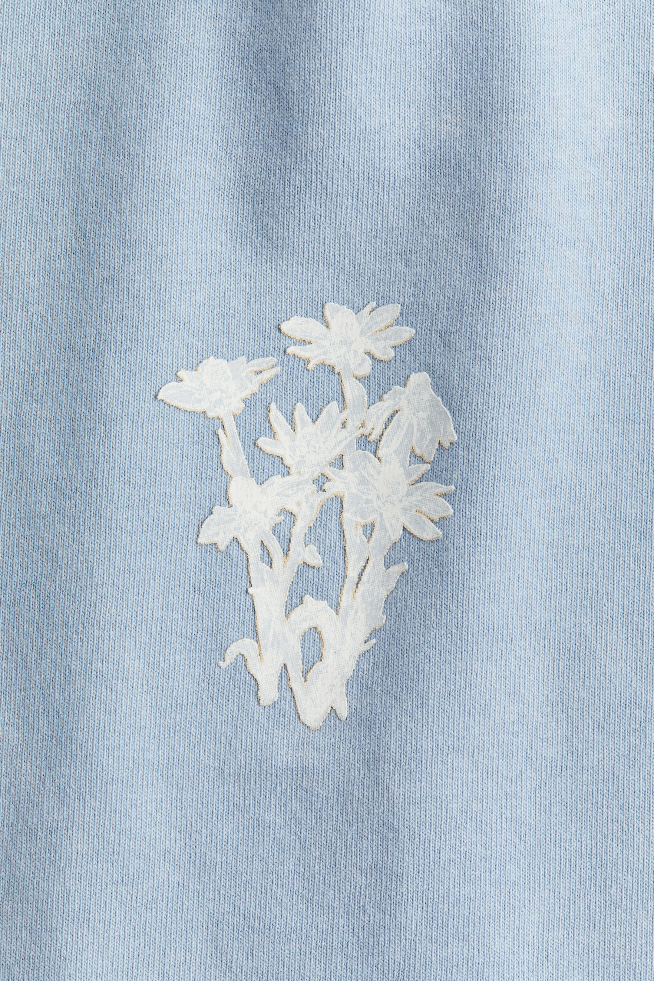 拡大画像を表示: オーバーサイズ プリントTシャツ - ライトブルー - レディース | H&M JP 2