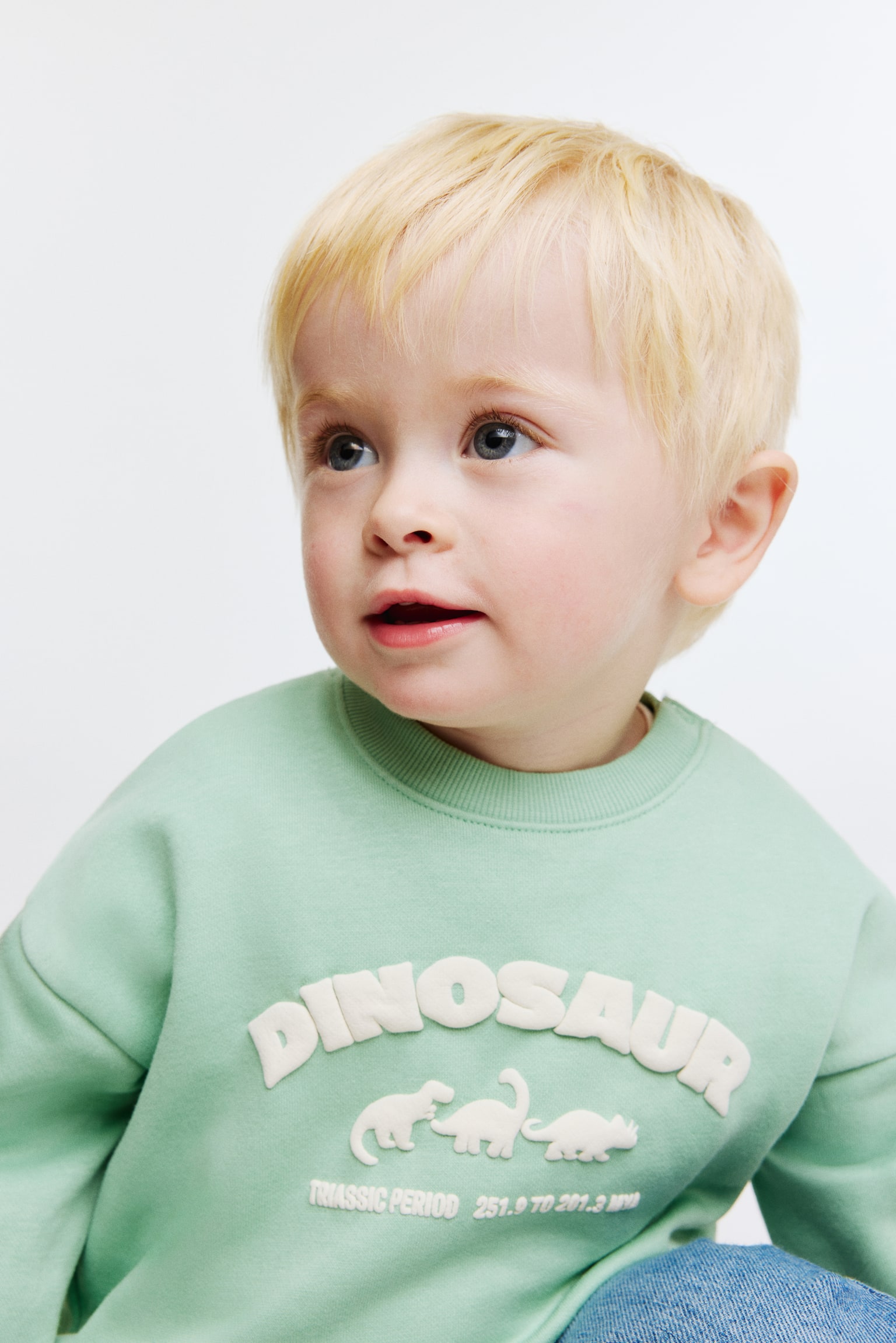 Printed sweatshirt - Light green/Dinosaur/Cream/Cars/Light brown/1975/Light grey/Dinosaurs - 2