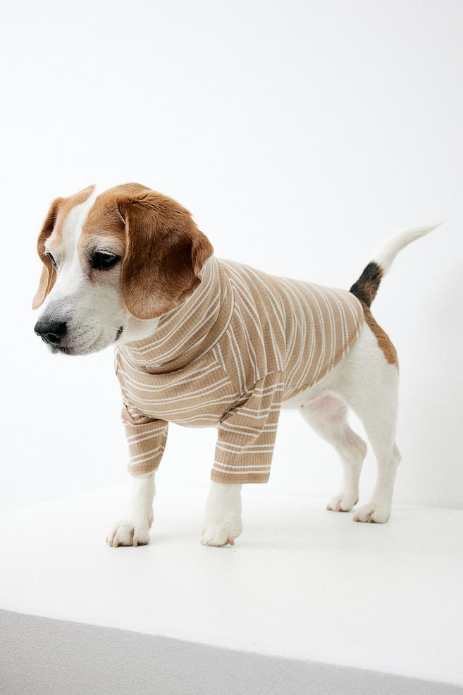 Polo-neck dog jumper - Beige/Striped/Black/Striped - 4