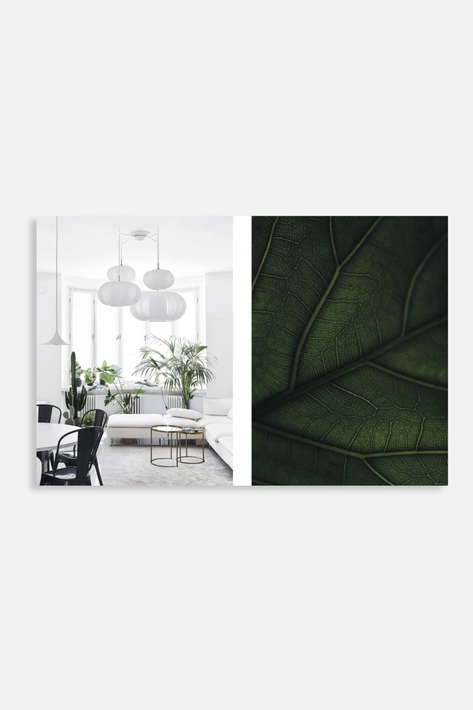 Green Home Book - Green Home Book - 3