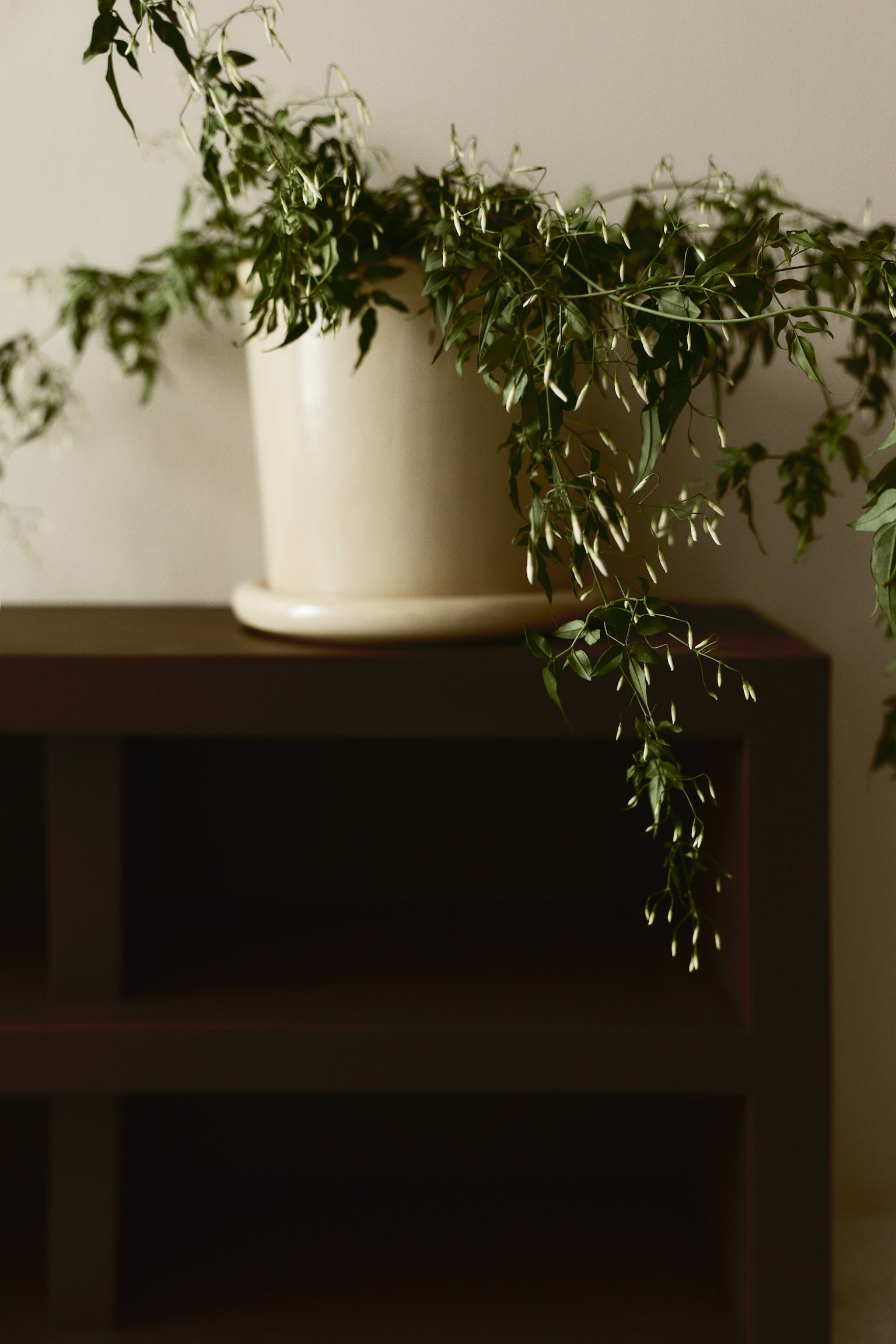 Великий горщик для квітів з кераміки з підставкою - Світло-жовтий/Темно-коричневий/Світло-зелений/Білий - 1