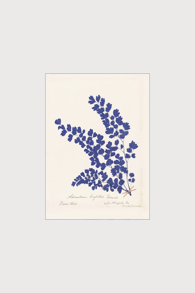 Wild Apple- Botanical Fern Iii Blue - Blå/botanisk - 1