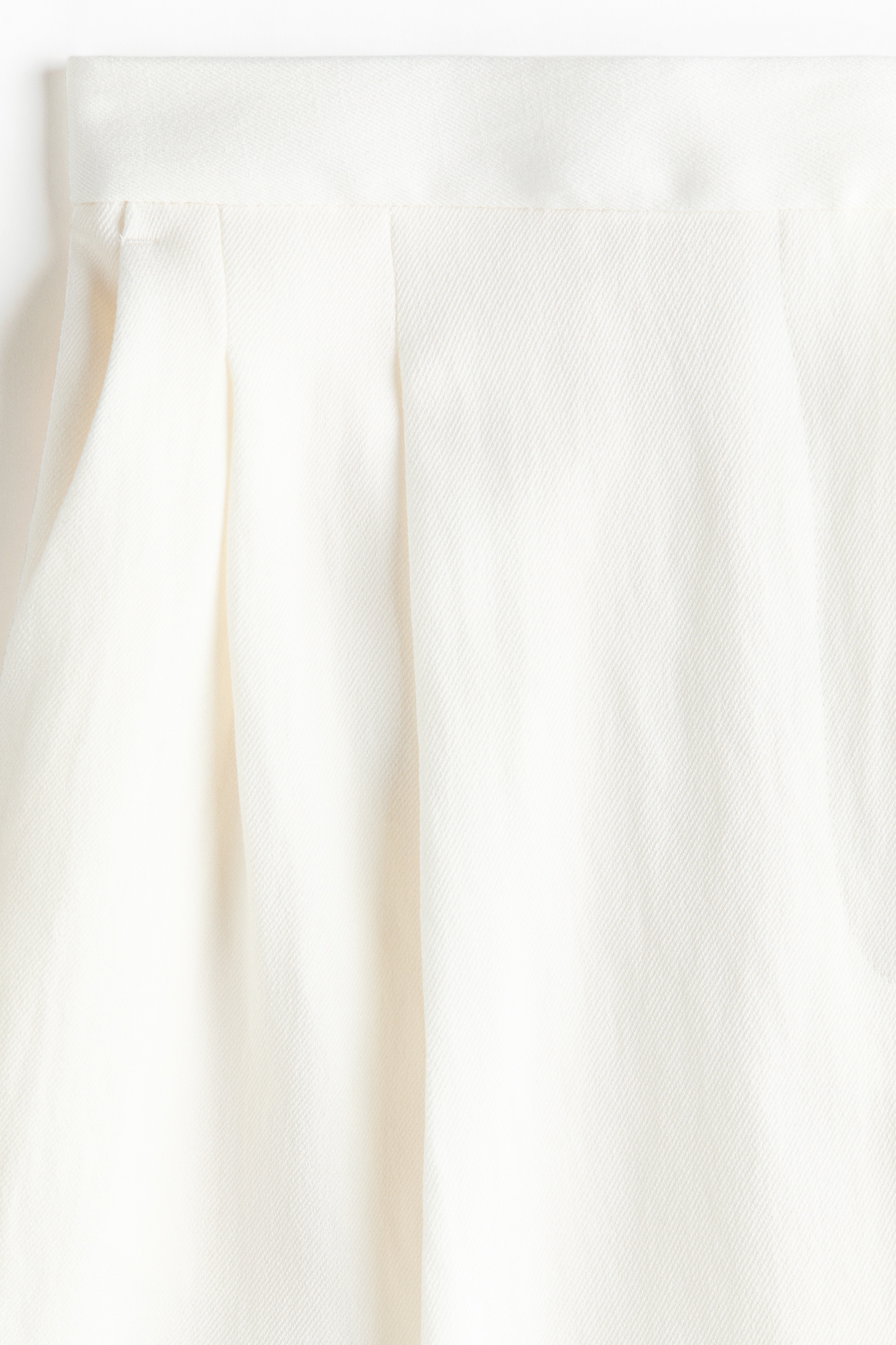 Wide-Leg Dress Pants