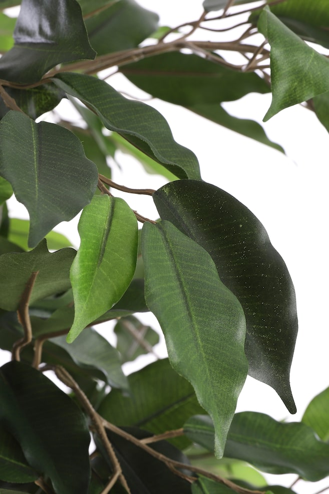 Ficus plante artificielle - Vert/Vert; Panaché - 4