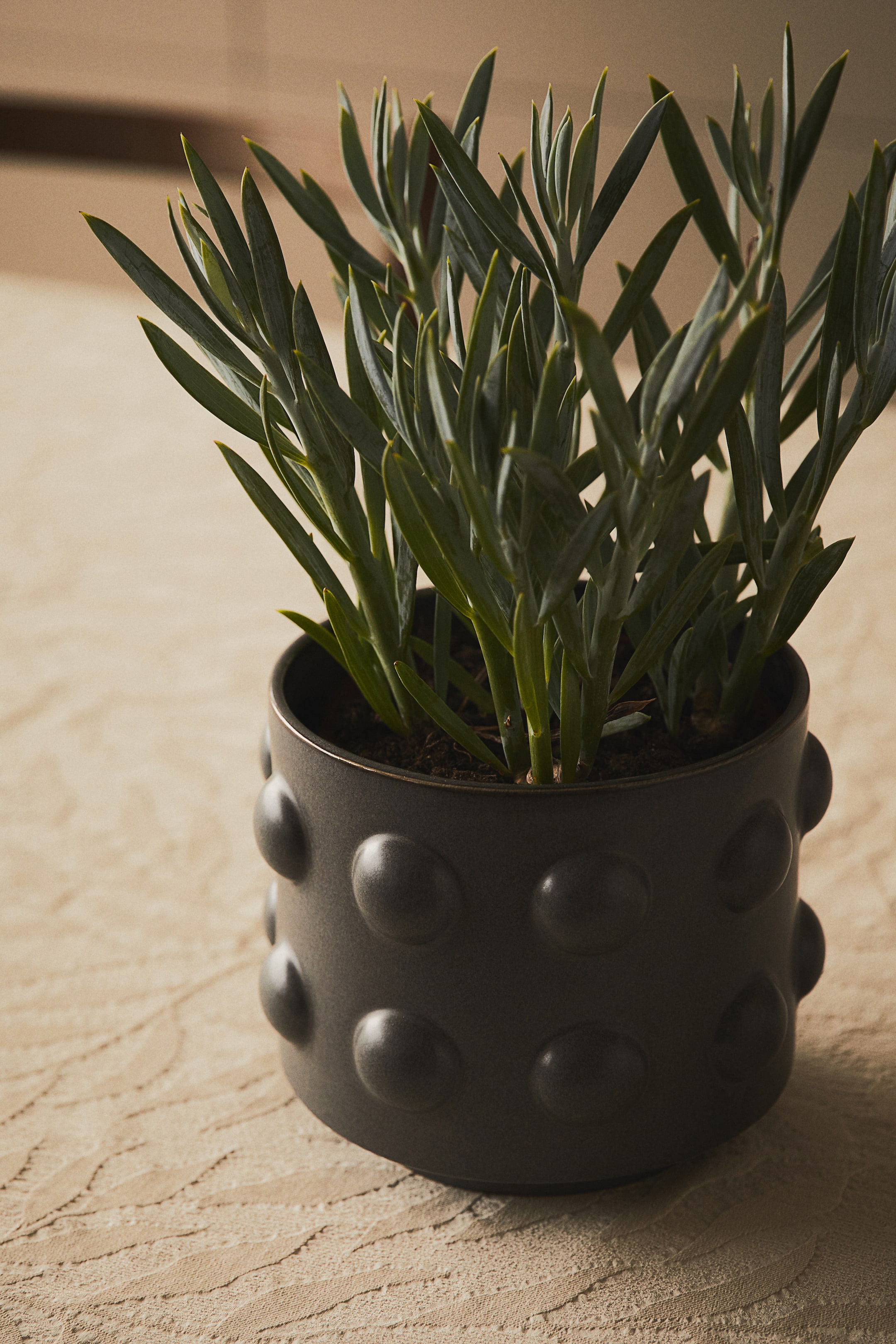 Reactive-glaze Stoneware Plant Pot