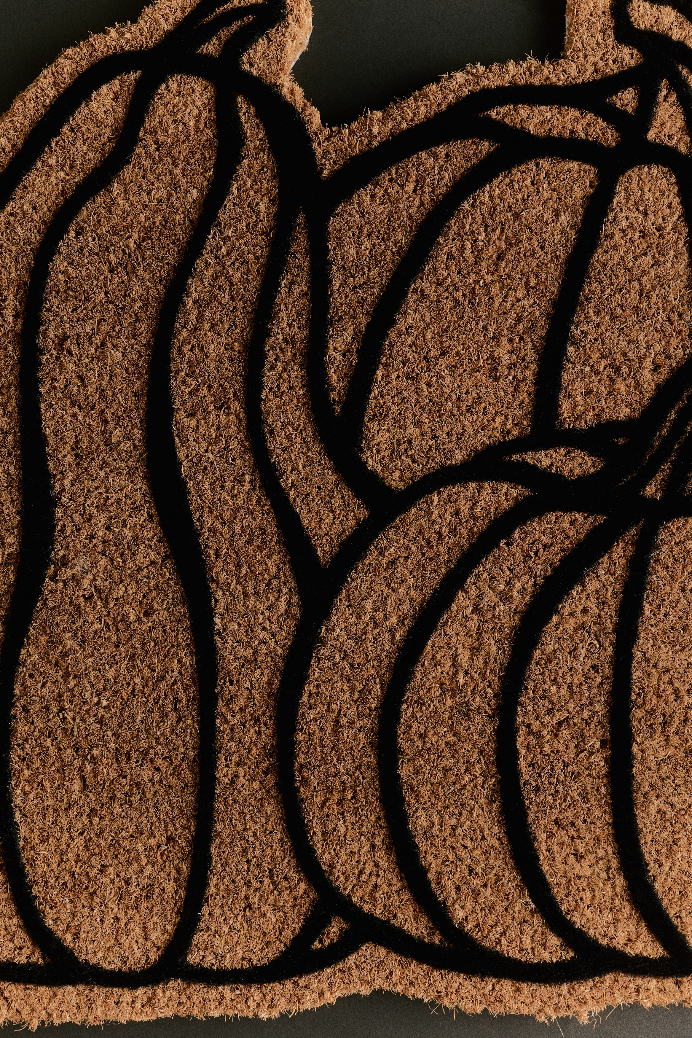 The brown textured coir doormat features a cluster of three pumpkins, including an elongated gourd and two round pumpkins, all outlined in black.