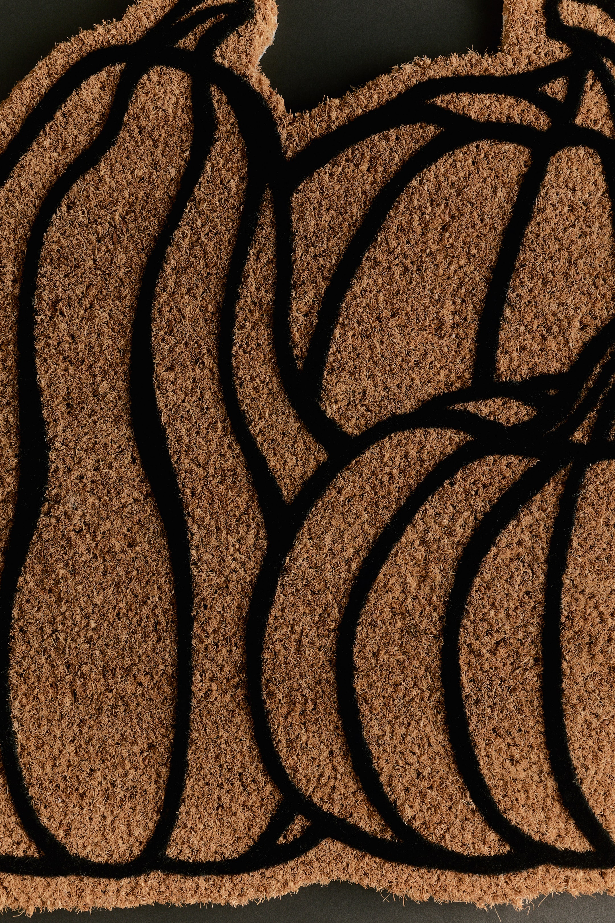 View larger image: A coir doormat is shown in close-up, displaying its fibrous, textured brown surface, with bold black outlines forming pumpkin shapes.
