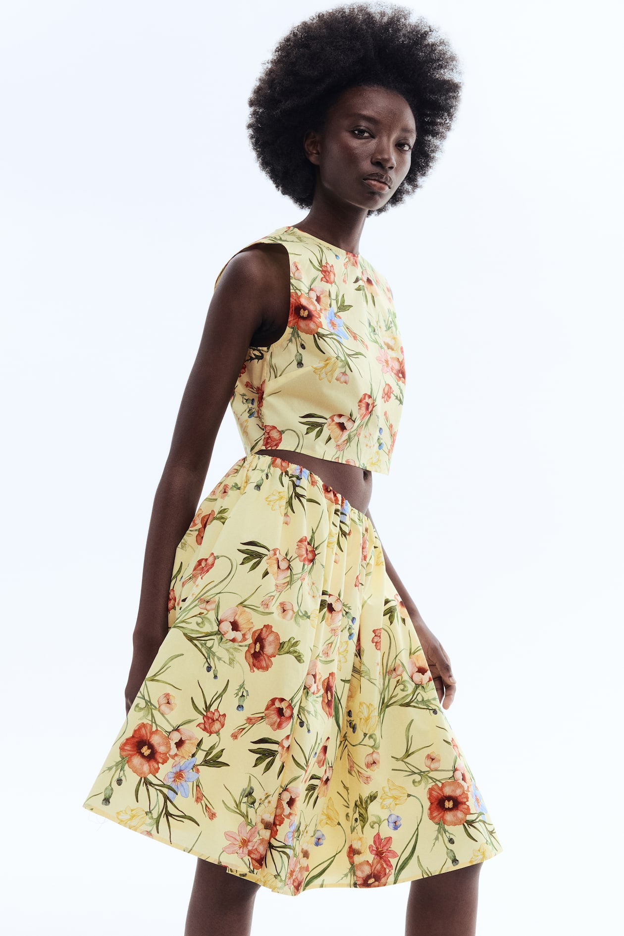 Poplin Circle Skirt - image 2